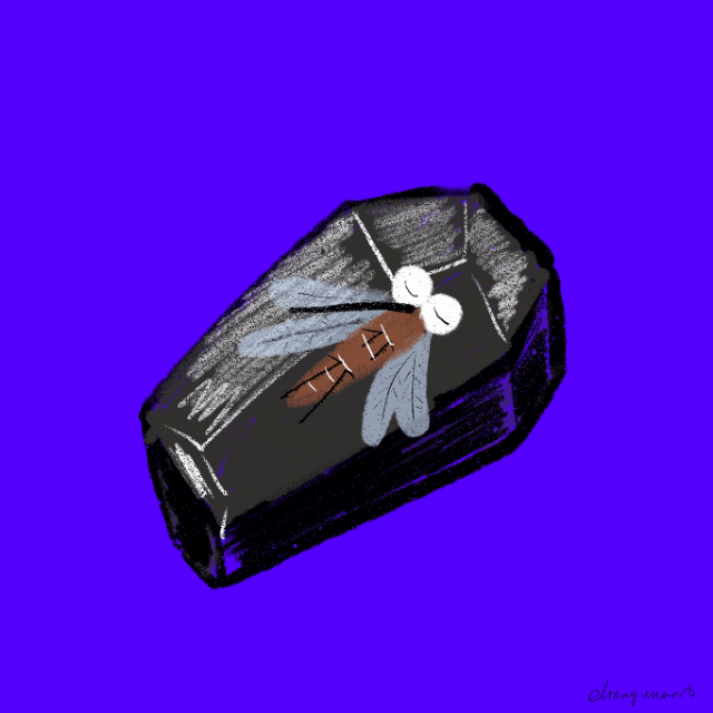 My diary-4 Apr. 2023-The mosquitoes have awakened!!