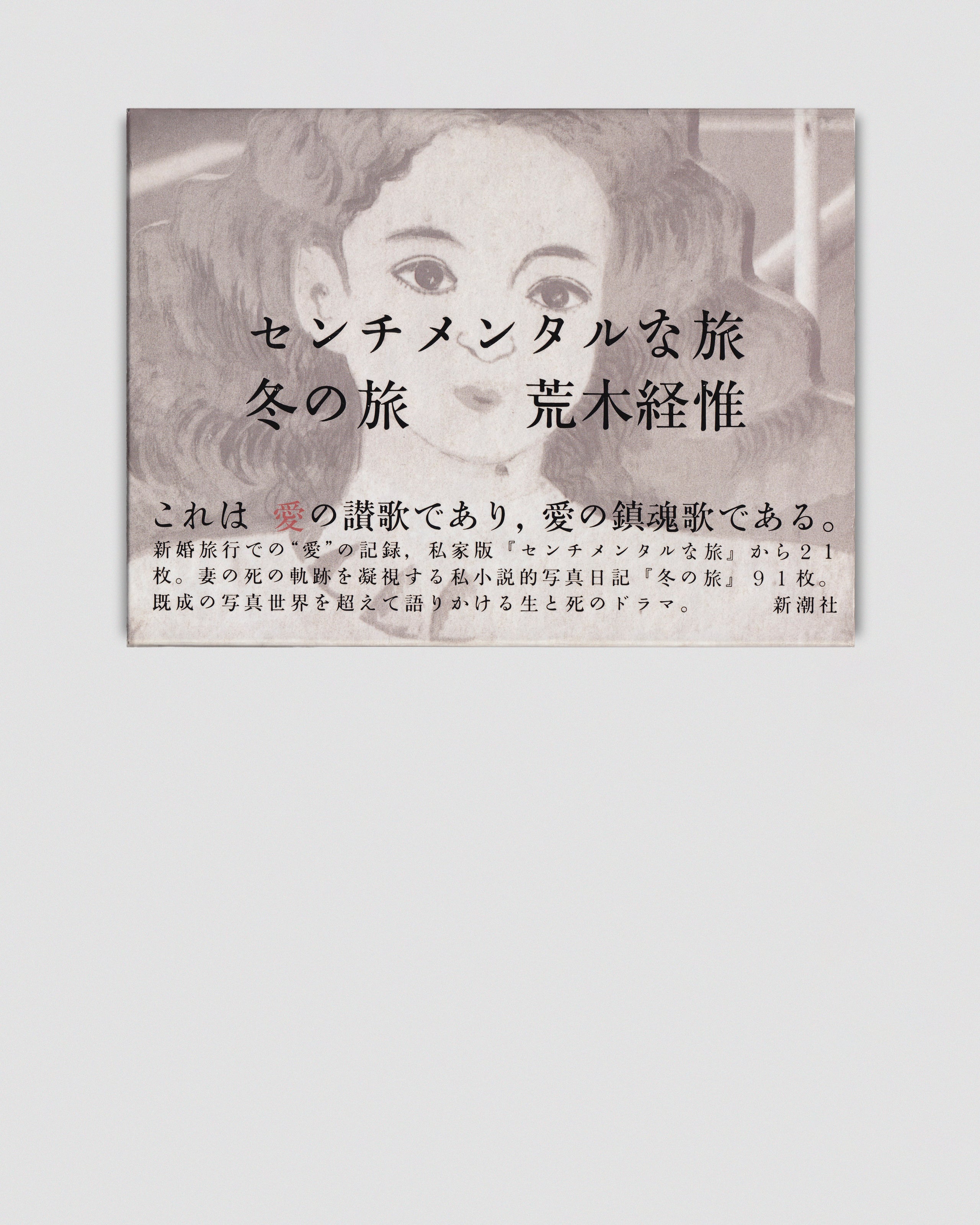 Sentimental Journey/Winter Journey - Nobuyoshi Araki ($85) - In 