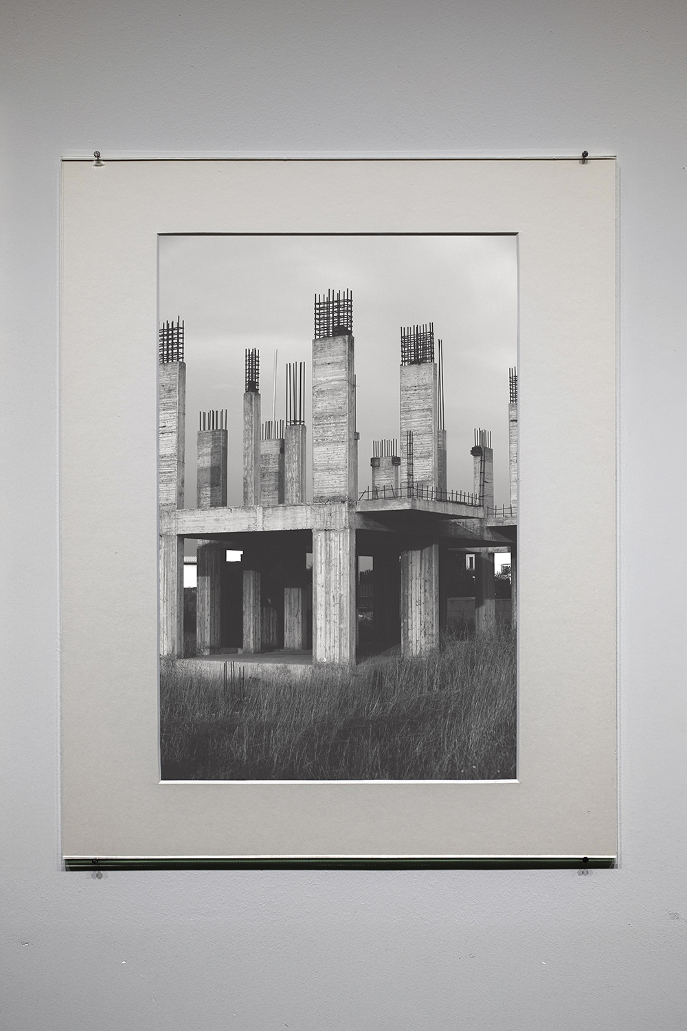 House Sparrow, 2021, archival pigment print, 44 x 35 cm