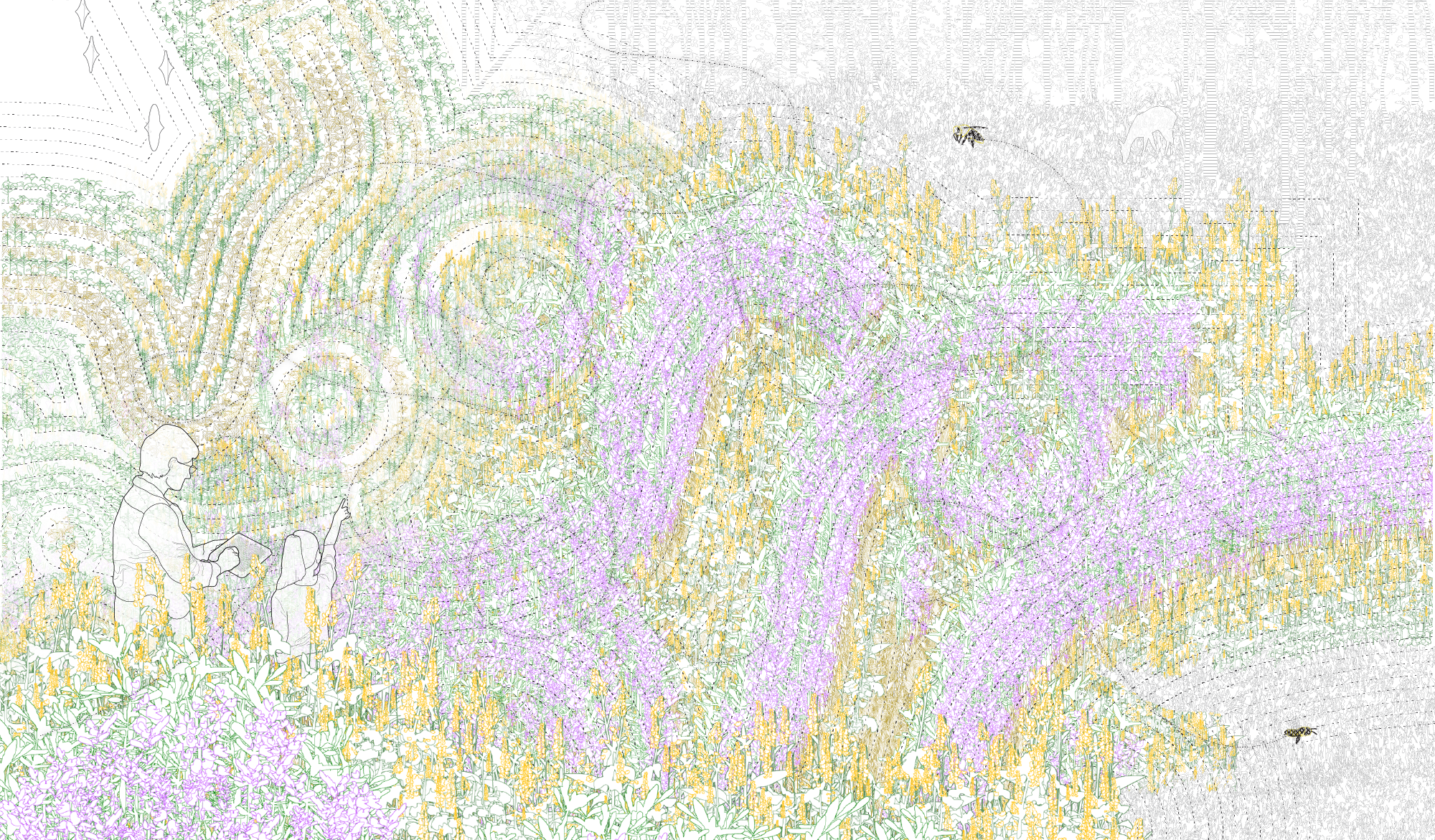 BLOOMING FIELDS, BEE'S VIEW