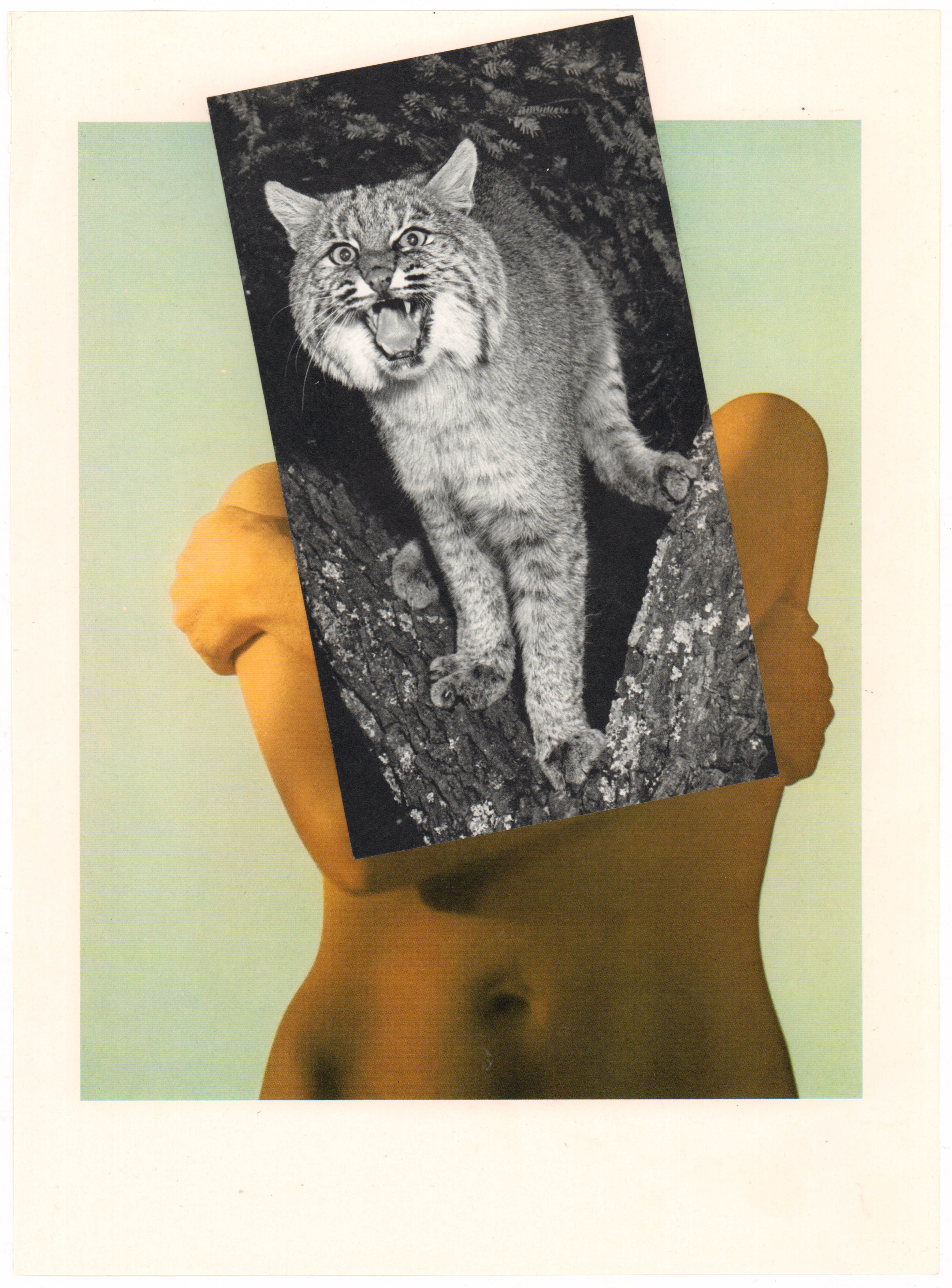 Roar, 2019, photomontage, 26 x 34 cm