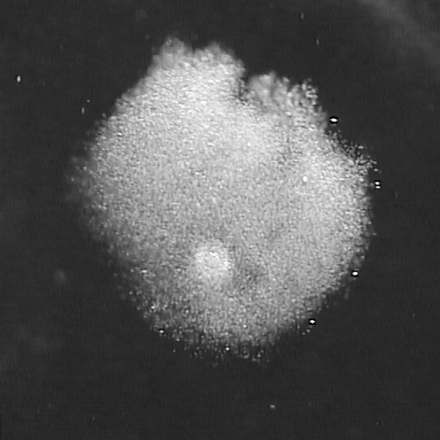 Sign up to my newsletter