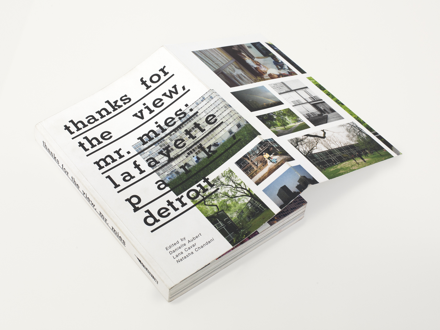 Thanks for the View, Mr Mies