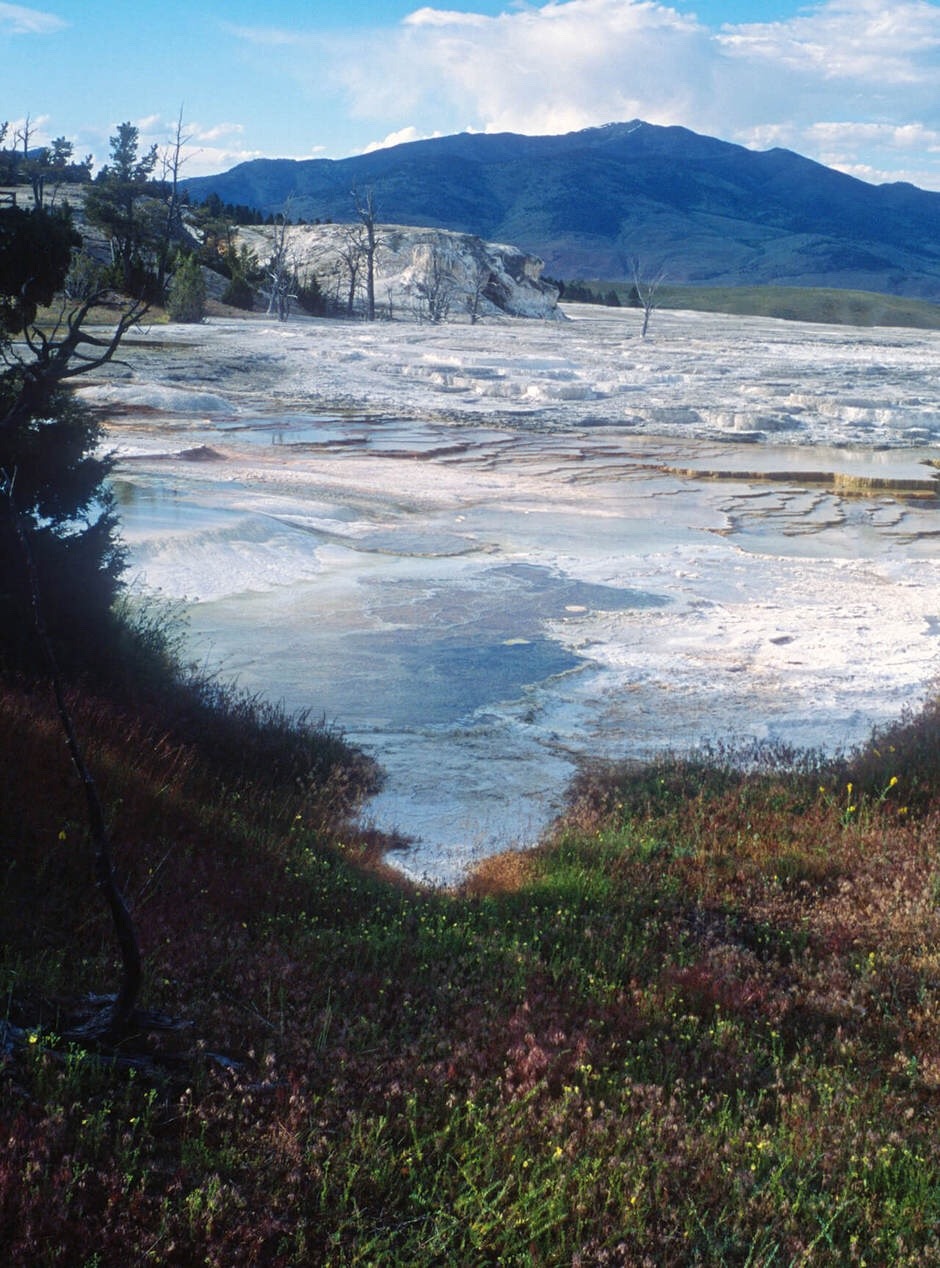 Apartamento Magazine