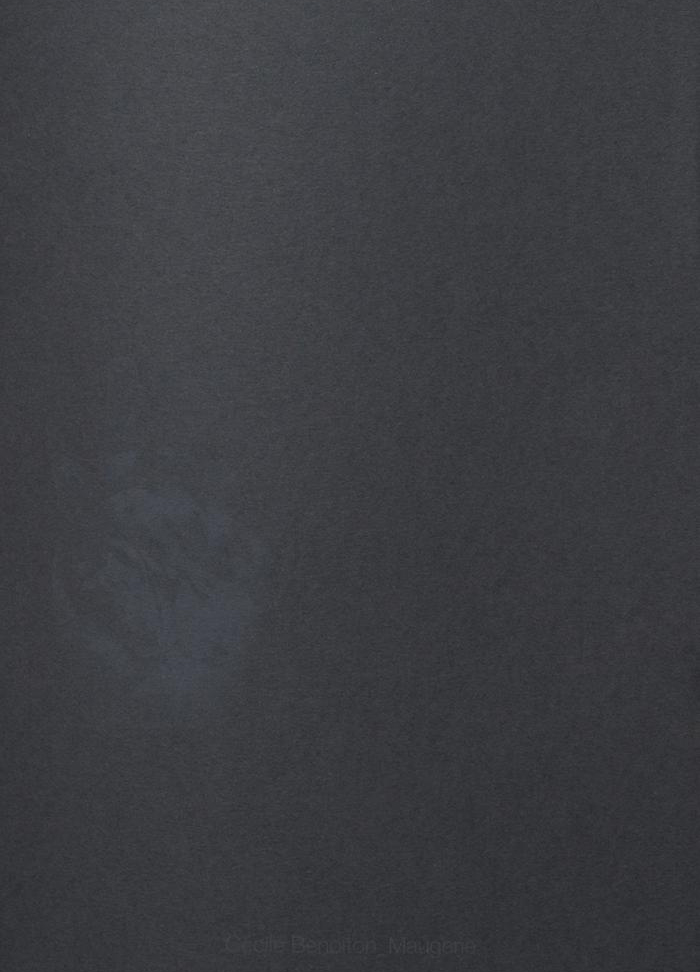 Cécile Benoiton_Maugerie