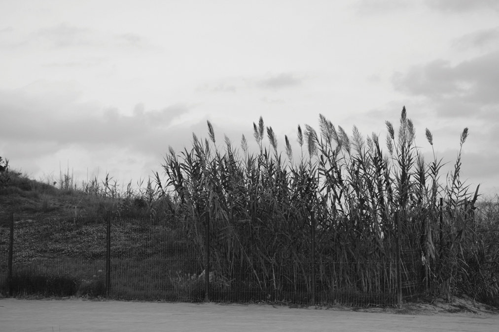Pathway along Platja del Bogatell, Barcelona ES.