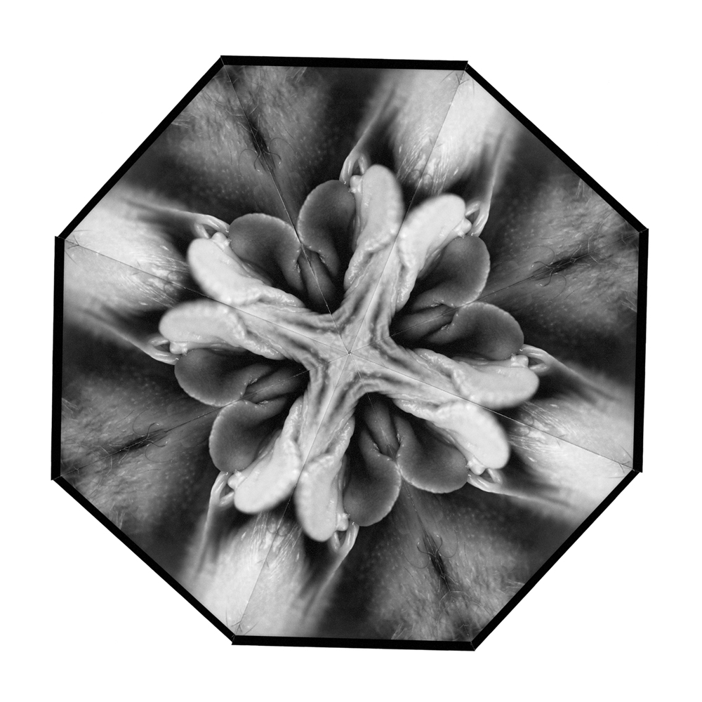 2004 03The Flowers of DelightKvetiny slasti