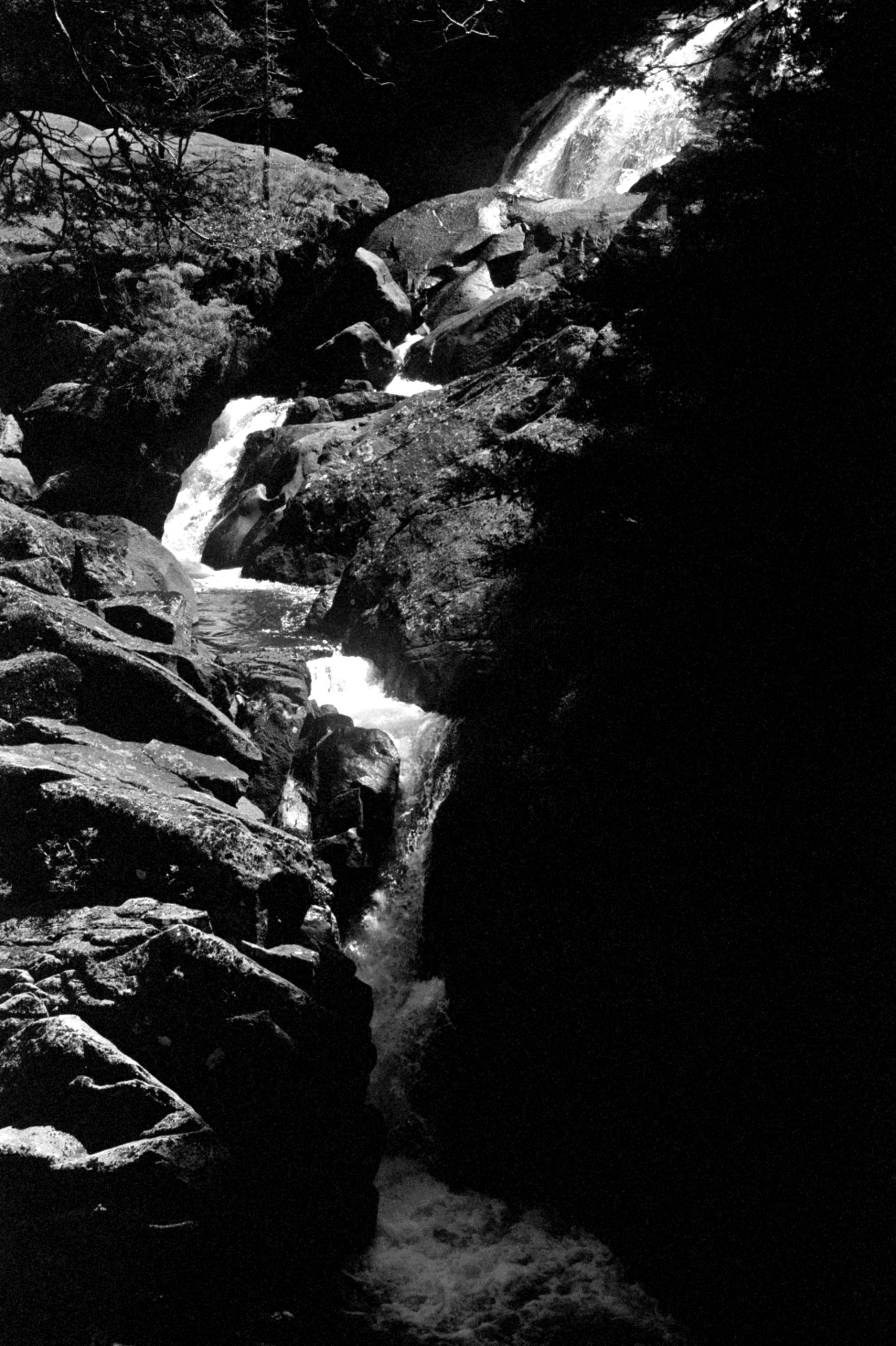 Patagonia, Argentina 2020 (35mm)