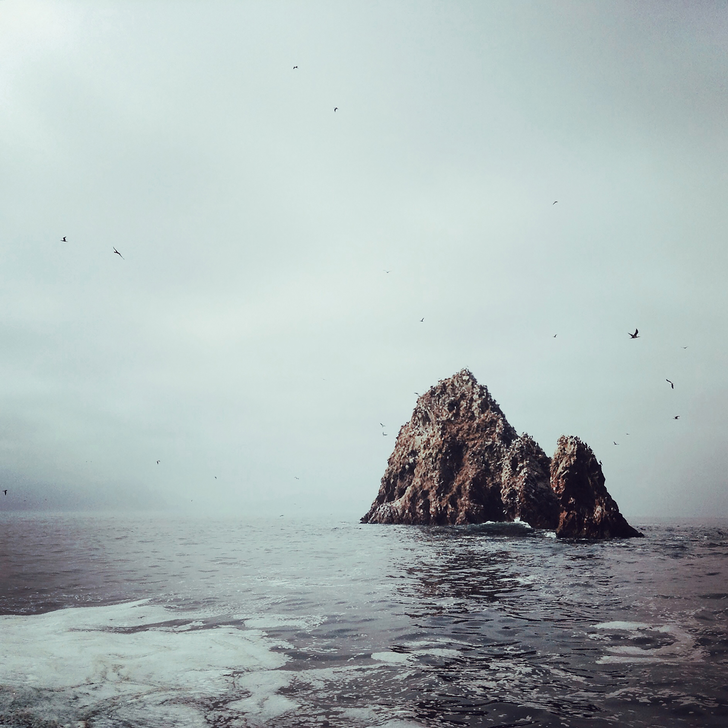 PERUParacasParacas, 2016Index