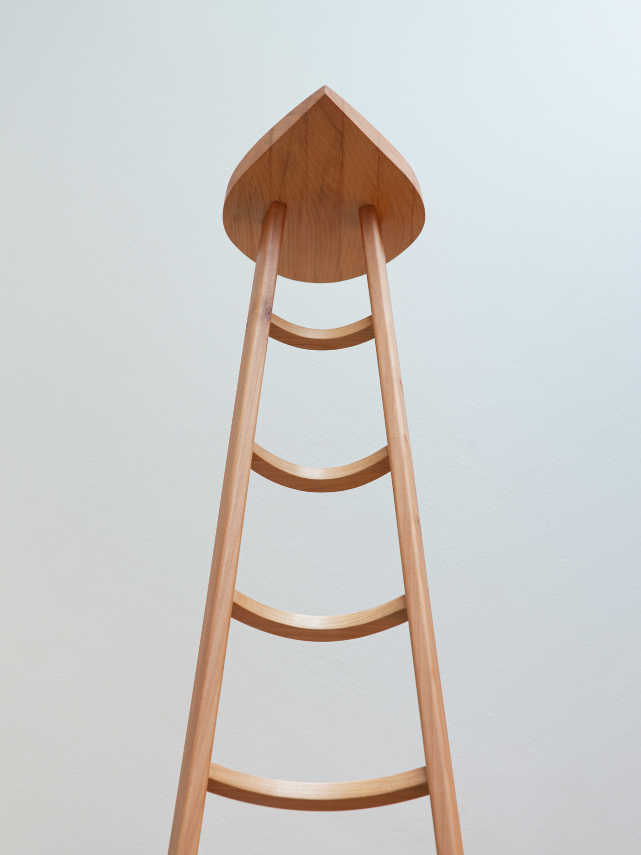 The evacuation ladder