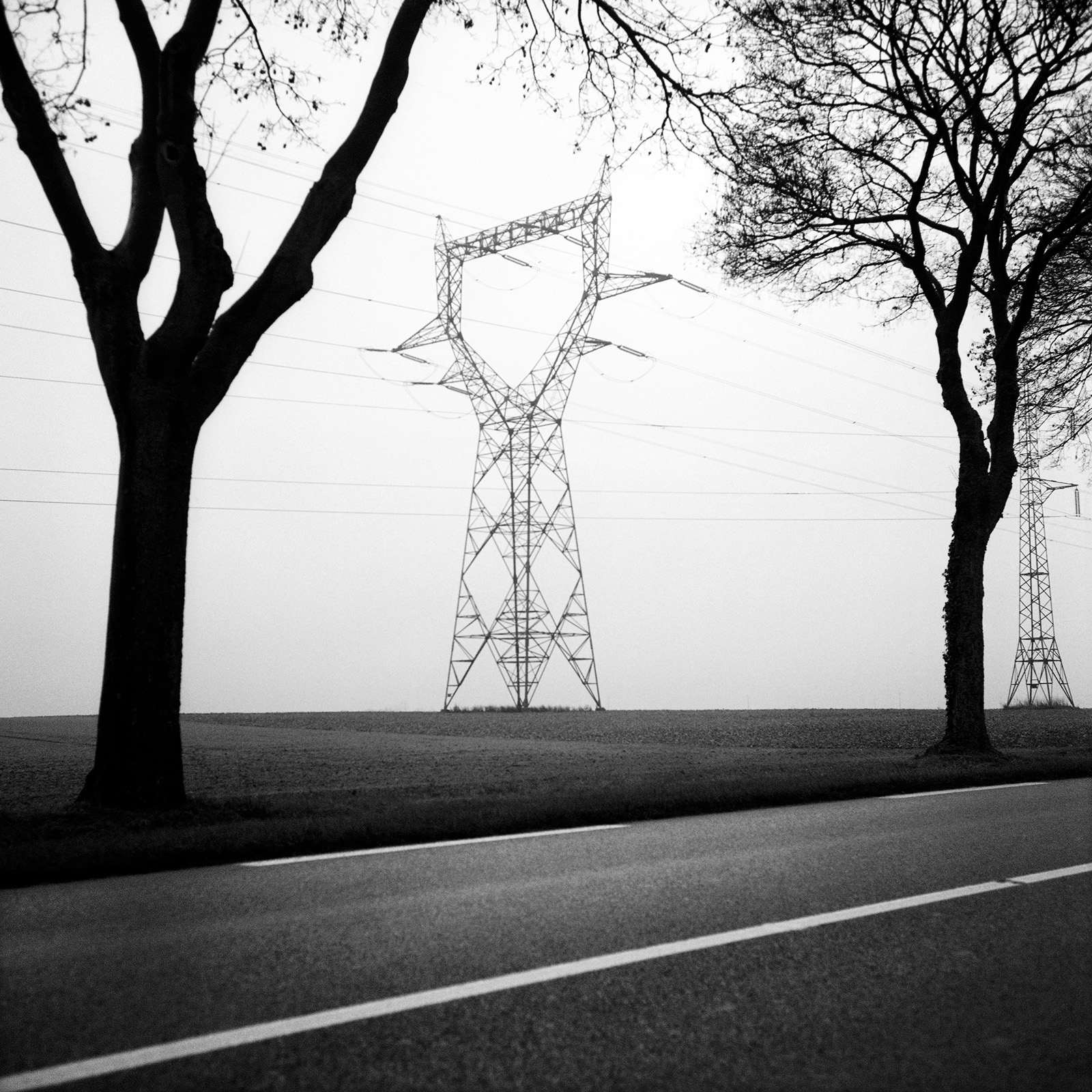 © Richard SCHROEDER,Normandie, 2006