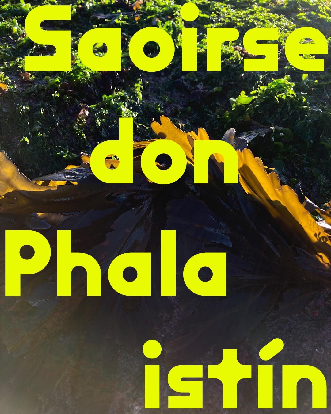 Aster Reem David, images from a digital repository of Palestine Solidarity Posters. Image courtesy of the artist.