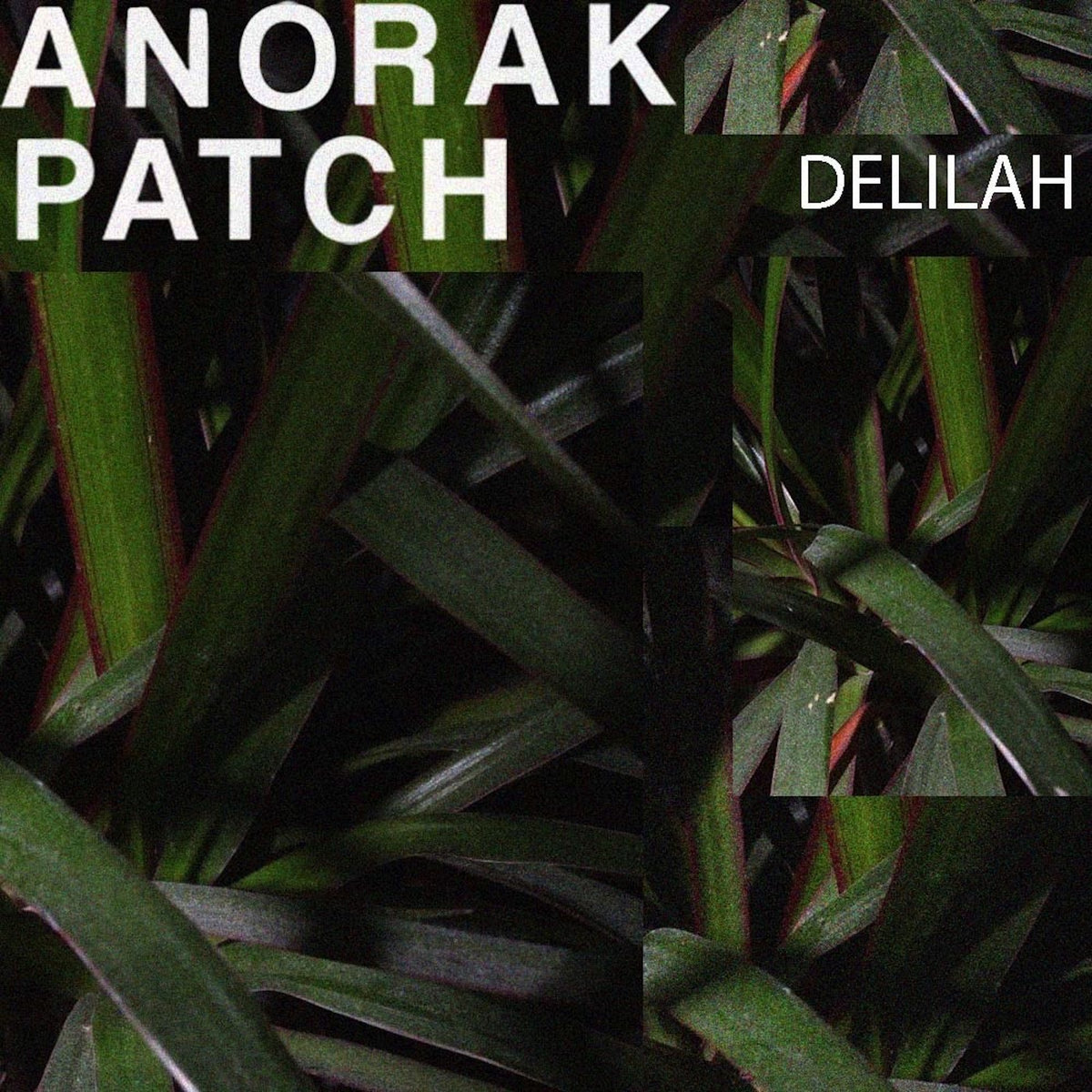 Delilah / Anorak Patch 