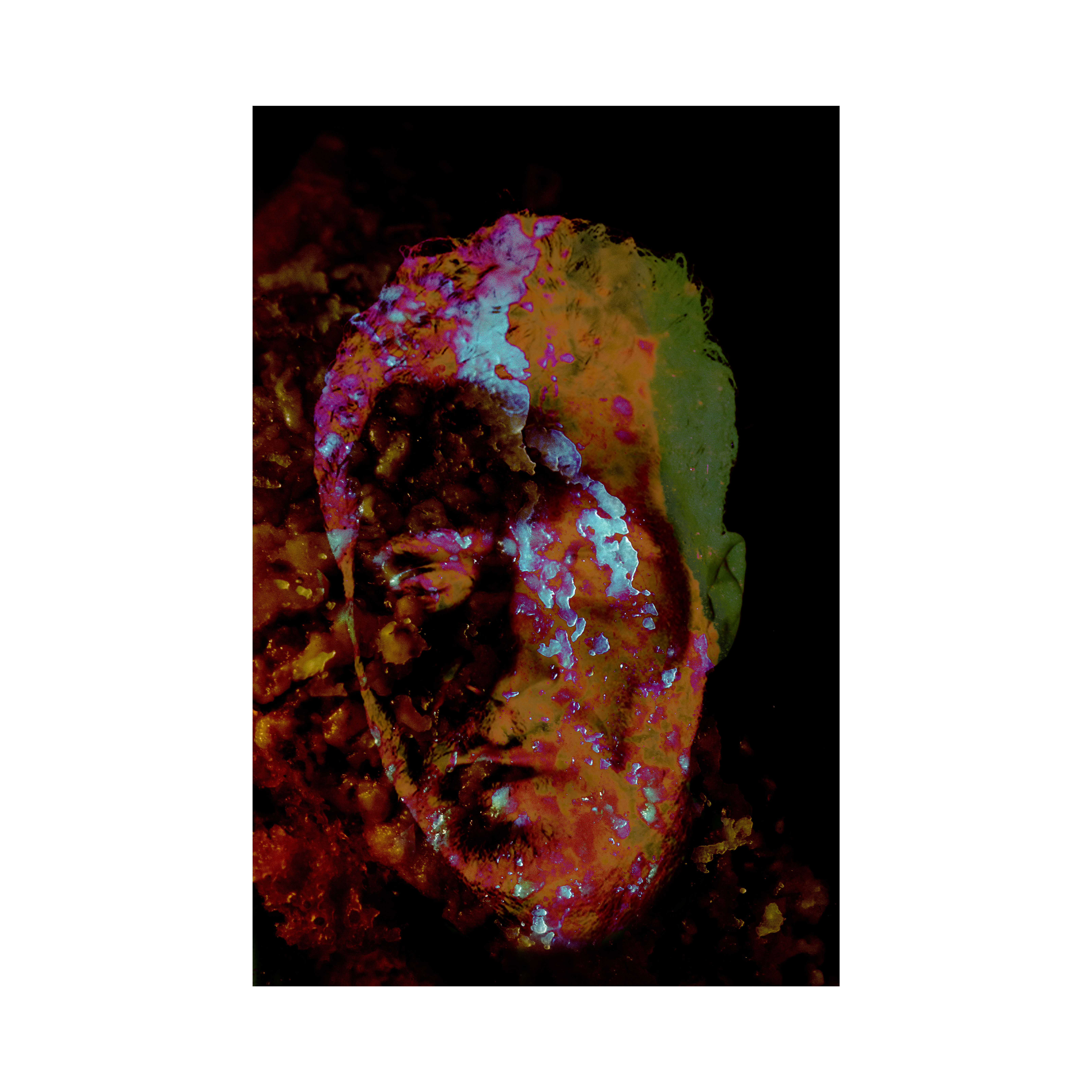 Collegamento-Antonio