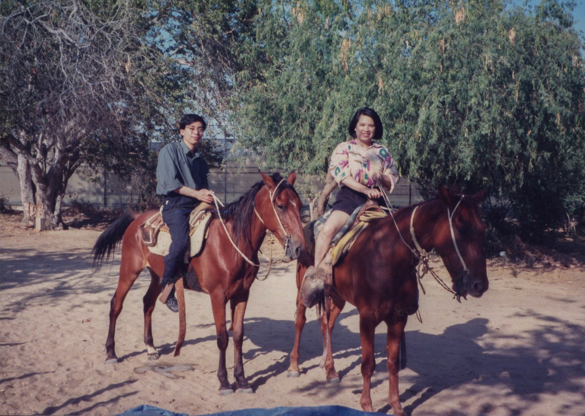 01091 Palos Verdes, CA 1990