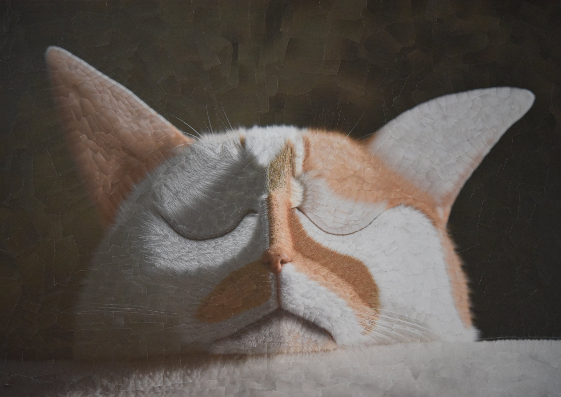 Charlie 25, why do puppies exist?, 2019,  16.5 x 11.5 inches