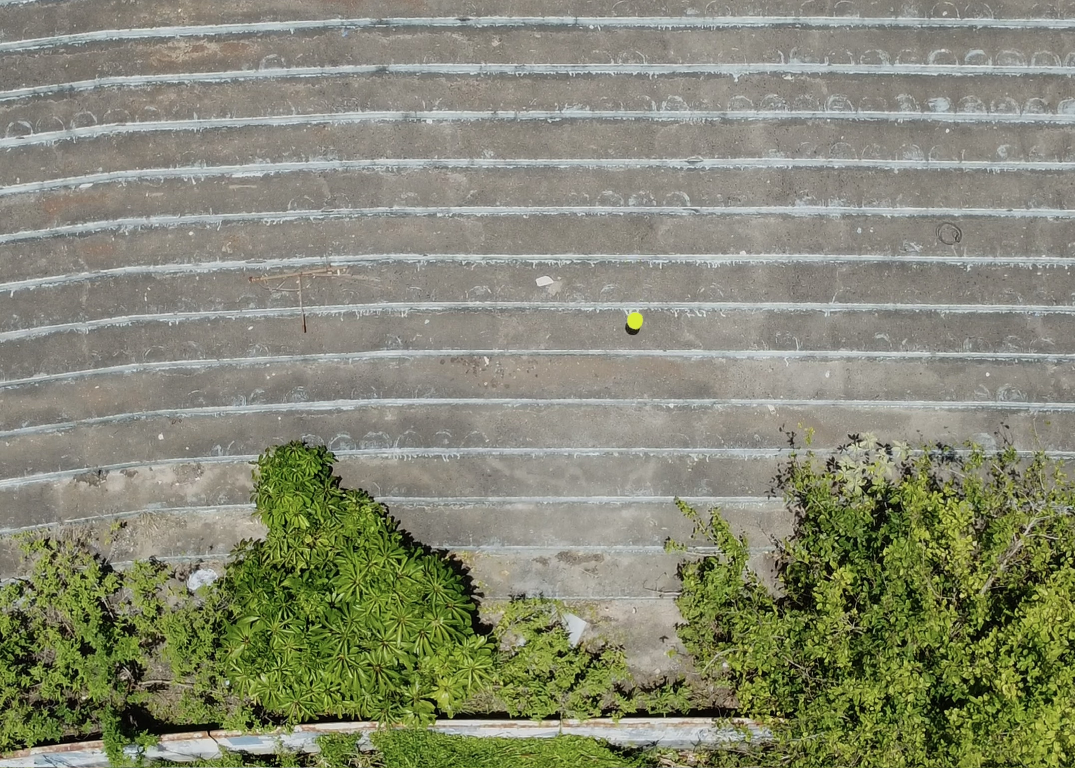 jardim ol&iacute;mpico, 2026