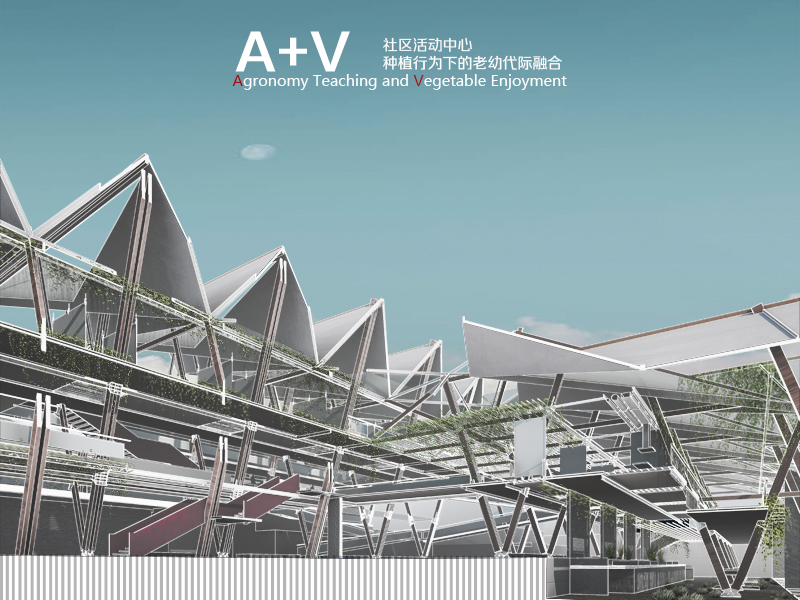 博物馆：成为都市远足的一部分三年级