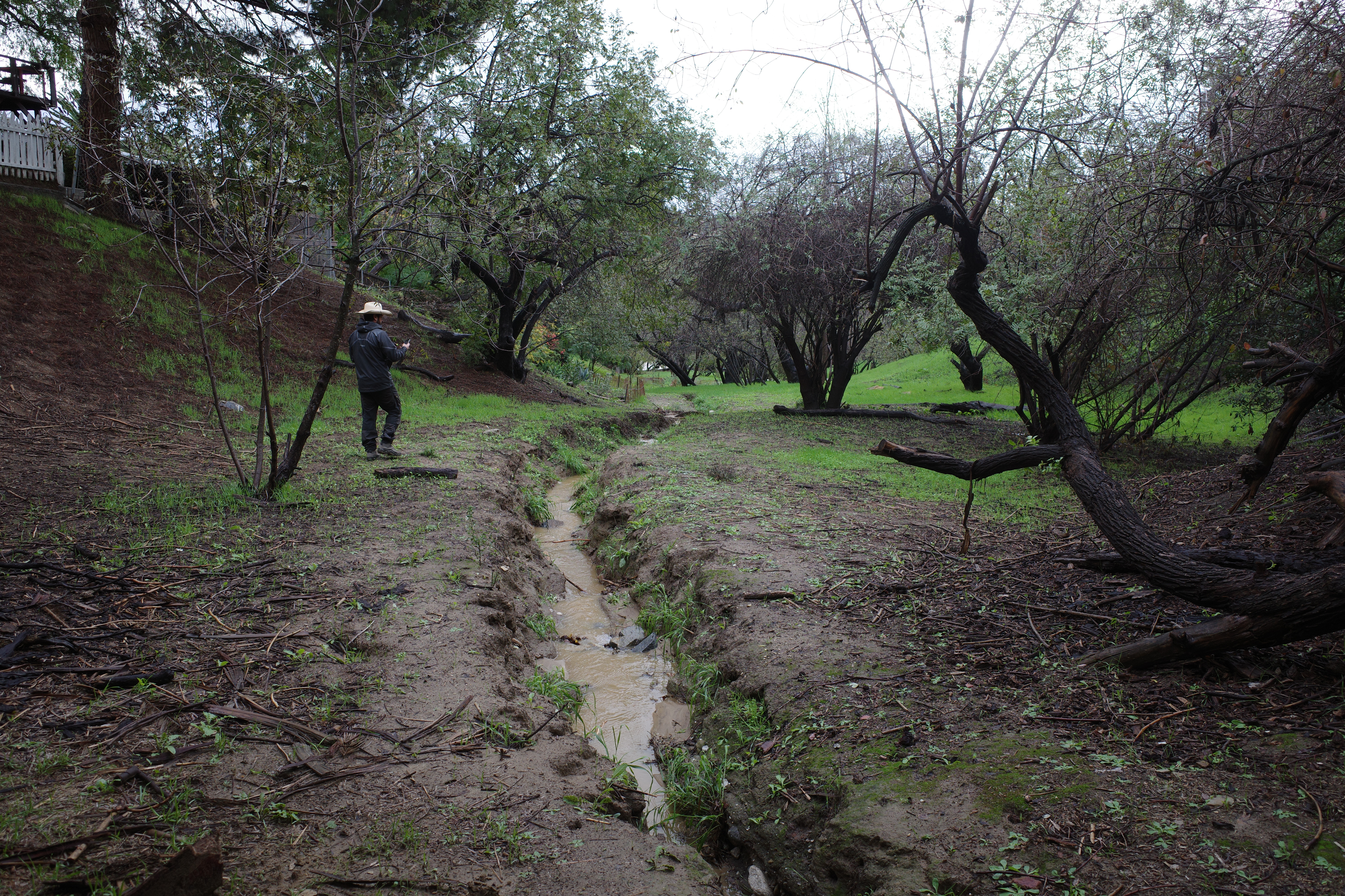 Fig 2. Riparian flow