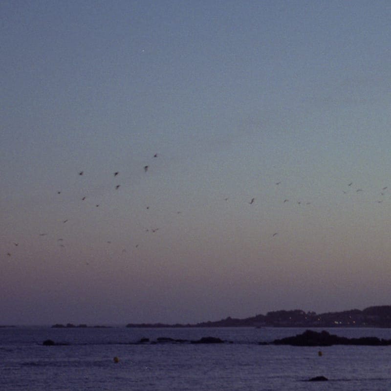 transience #21 with Lou Drago and Vâyu