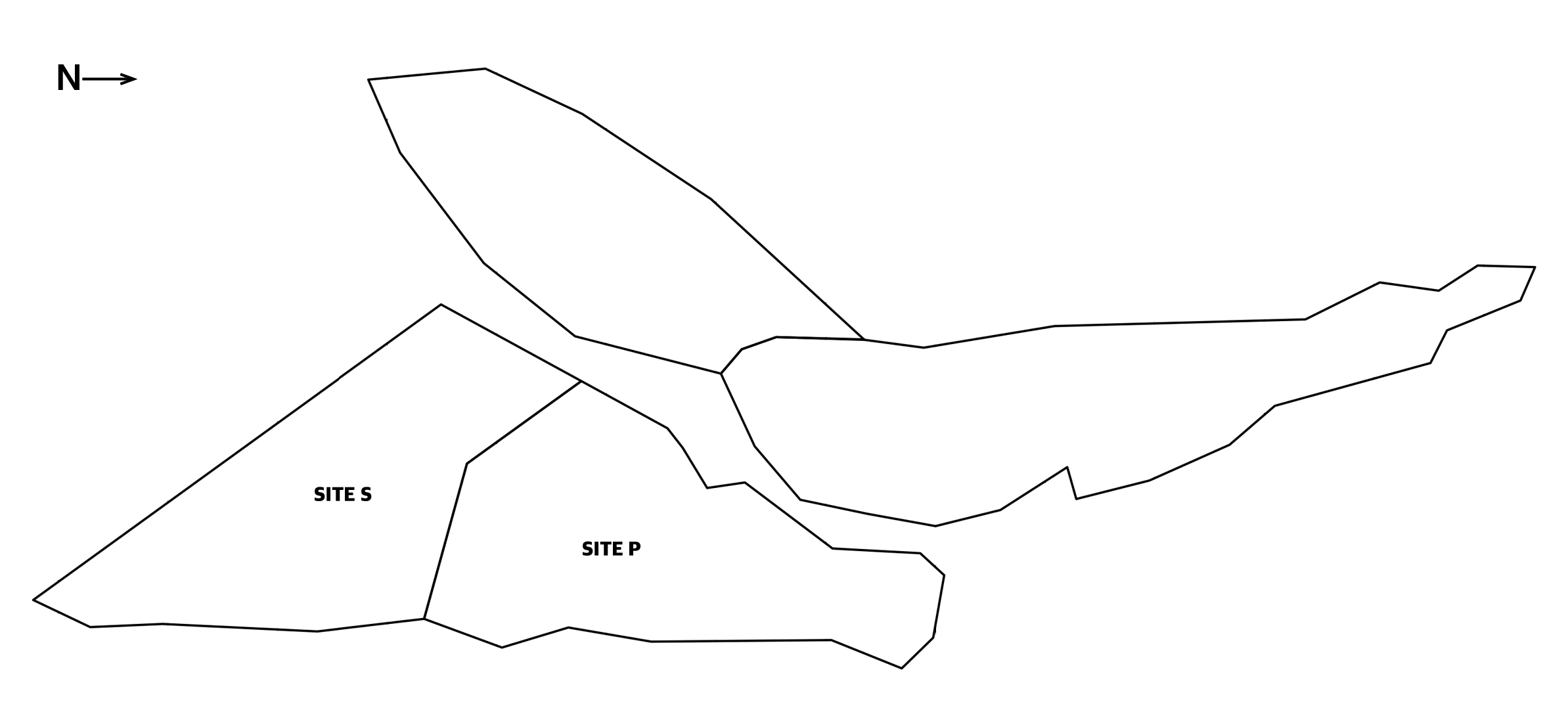 site analysis