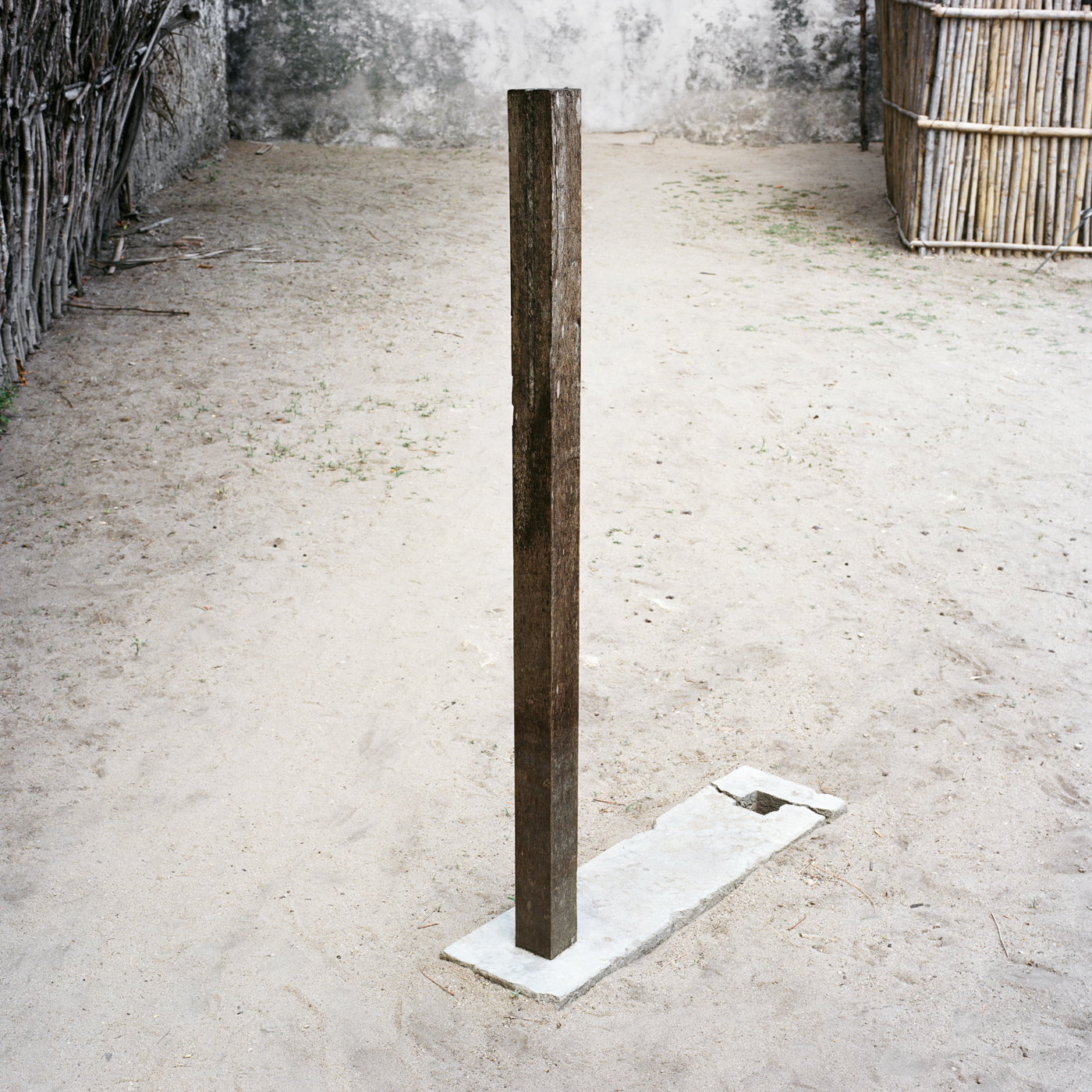 Upright, Ibo Island, 2014