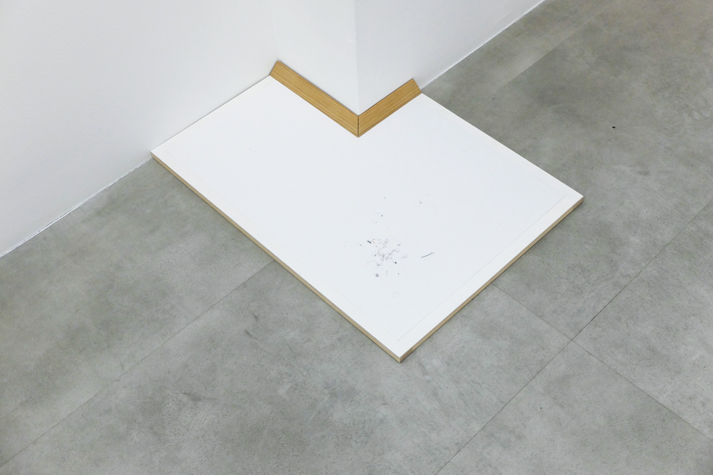 I am everywhere, solo exhibition, Drawing Lab Paris, 2019