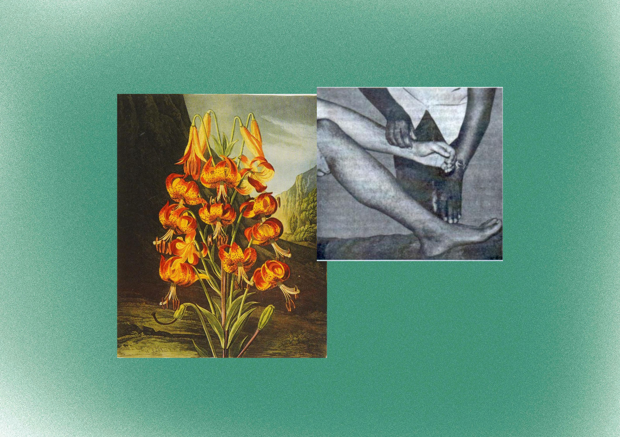 Embodying Time & Music | Maya M. Carroll