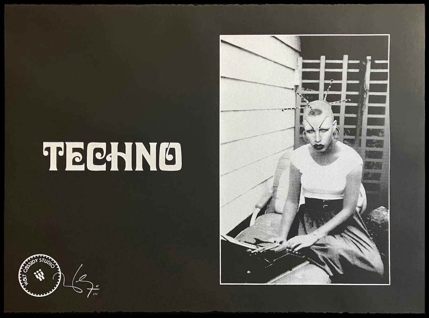 TECHNO, Waltpaper As Sylvia Plath. Courtesy of Walt Cassidy.