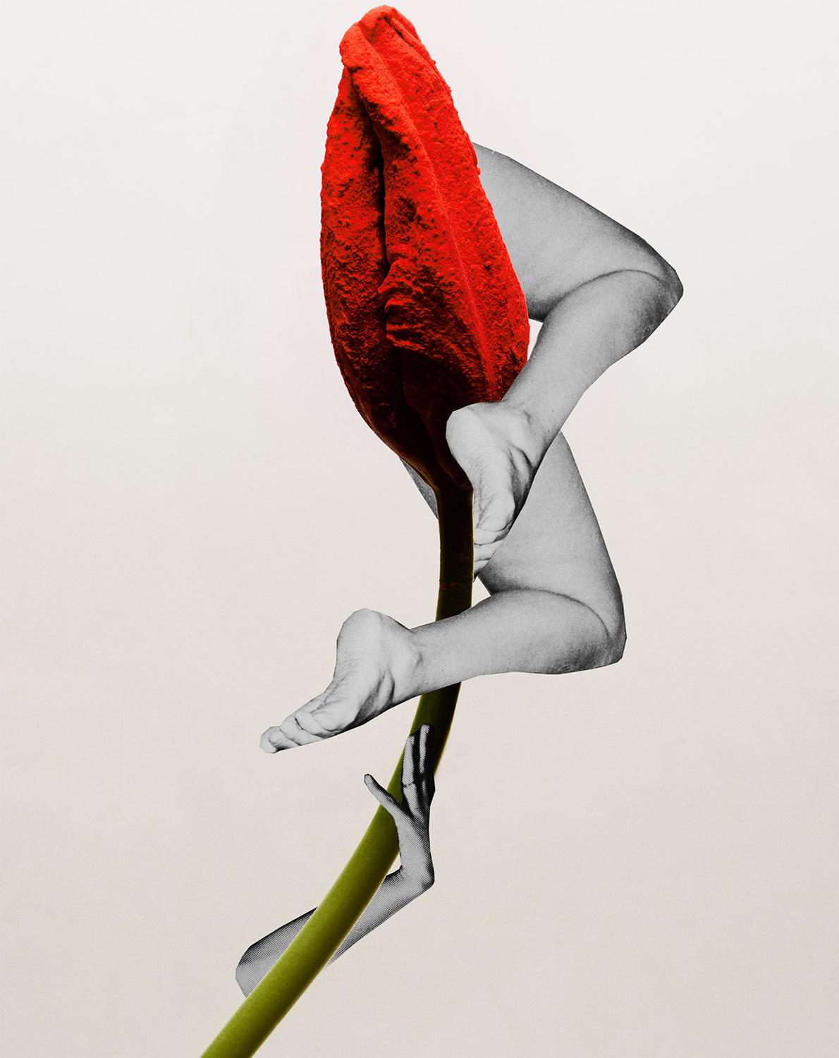 Still Life Photographer Martin Vallin creates a unique floral collage for Vilhelm Parfumerie