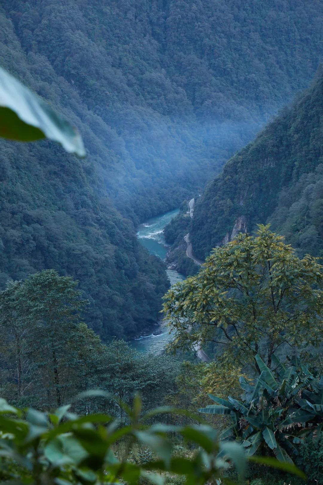 Naze Naze BCAF Naze Naze BCAF