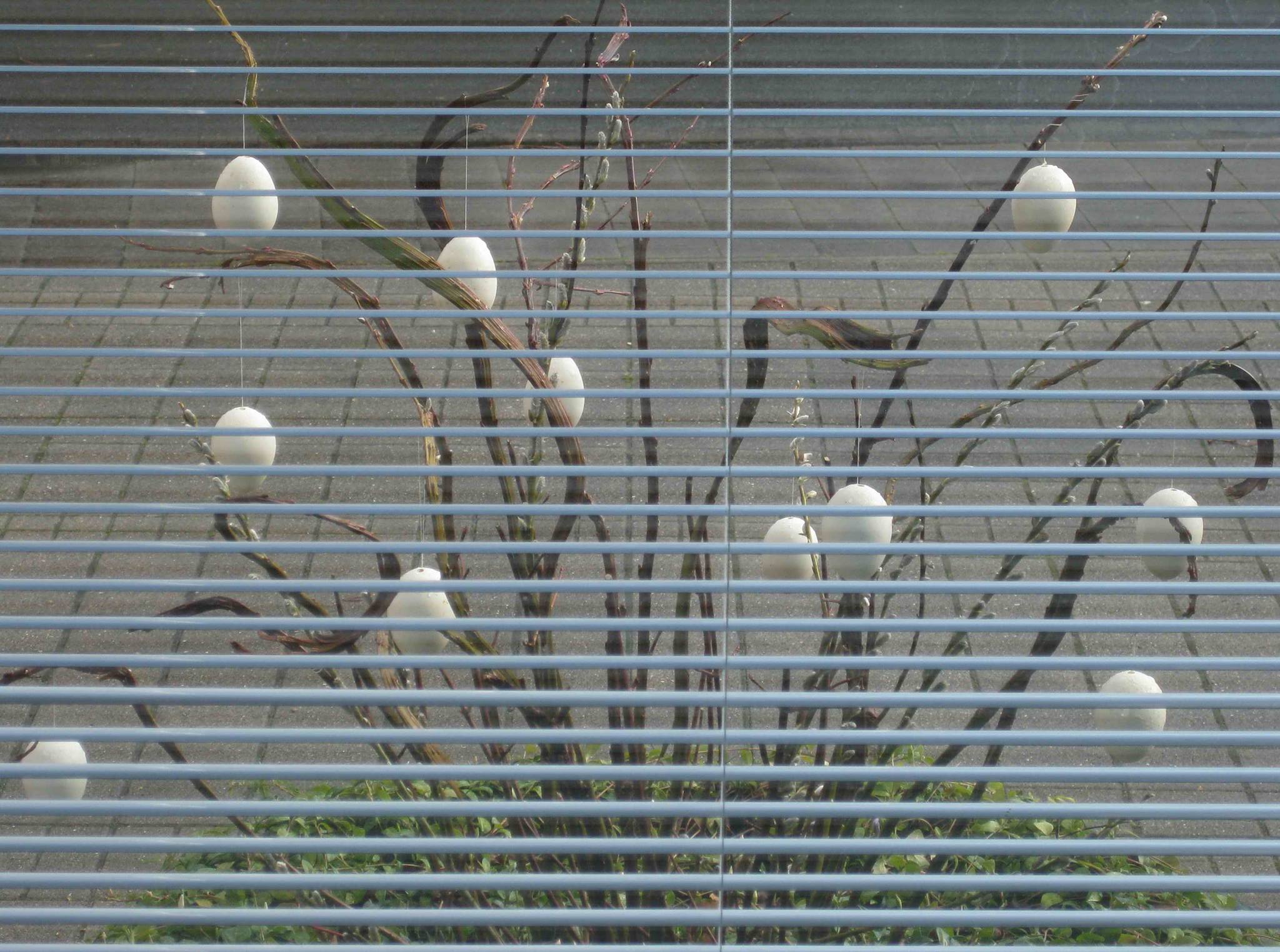 Münster, April, 2015