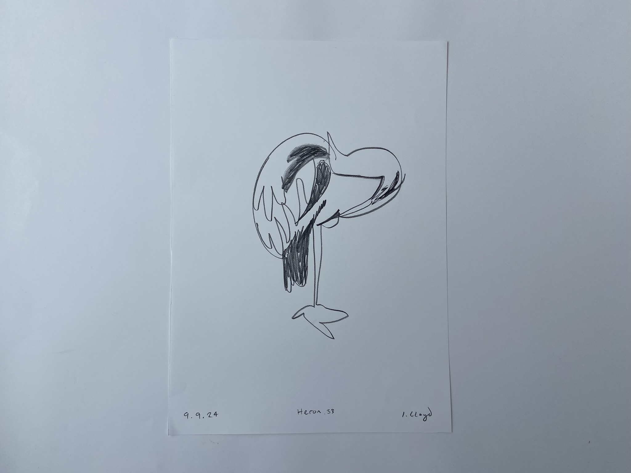 Heron (shadow), Pencil on paper, 21 x 30 cm, SOLD