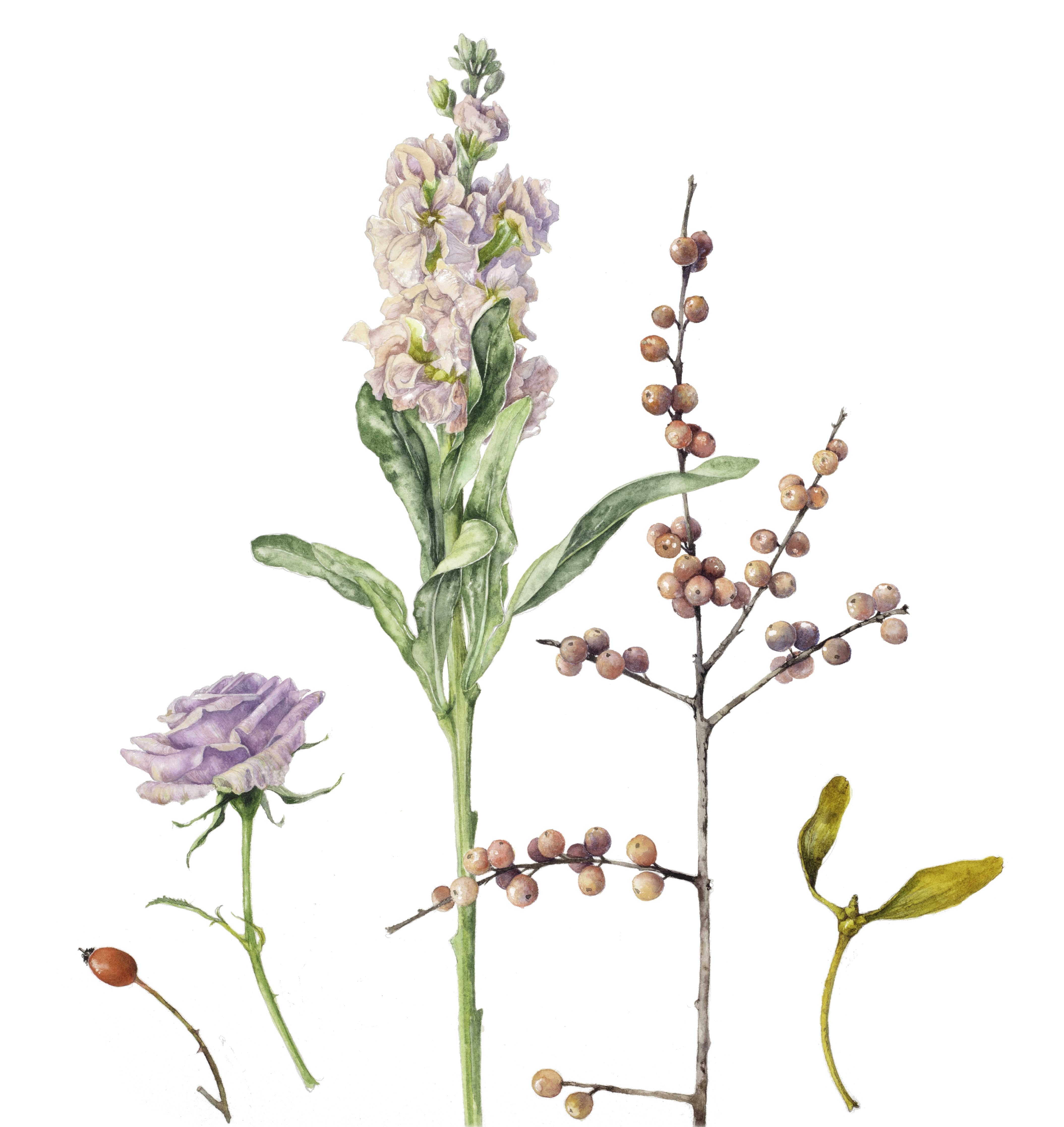 December bouquet deconstructed ilex stock and rose