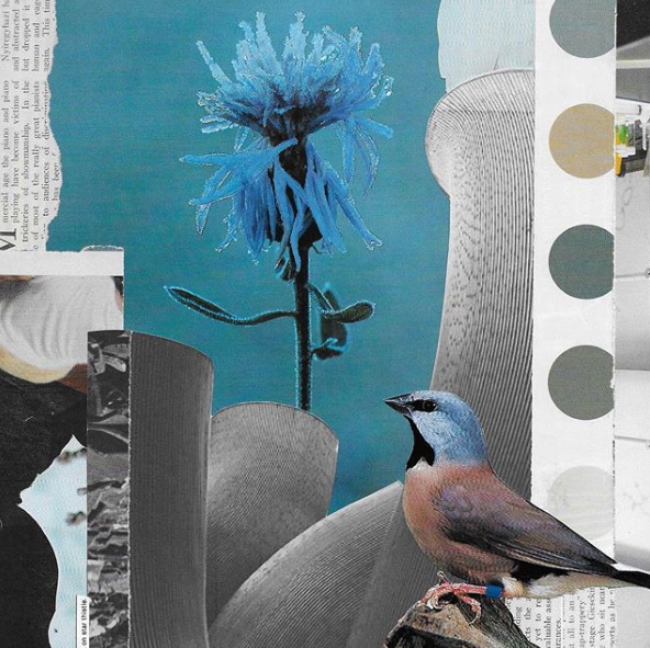 Jennifer Schmidt Gatz