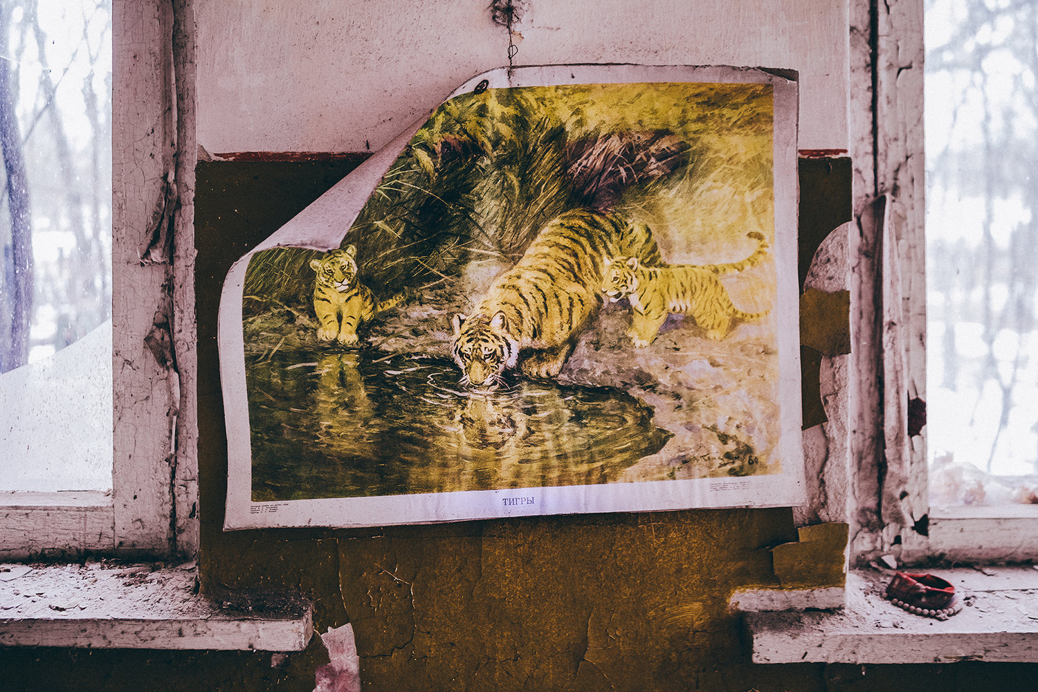 Fotografía Eurasia Viajes Chernobyl Pripyat pintura tigres bebiendo agua