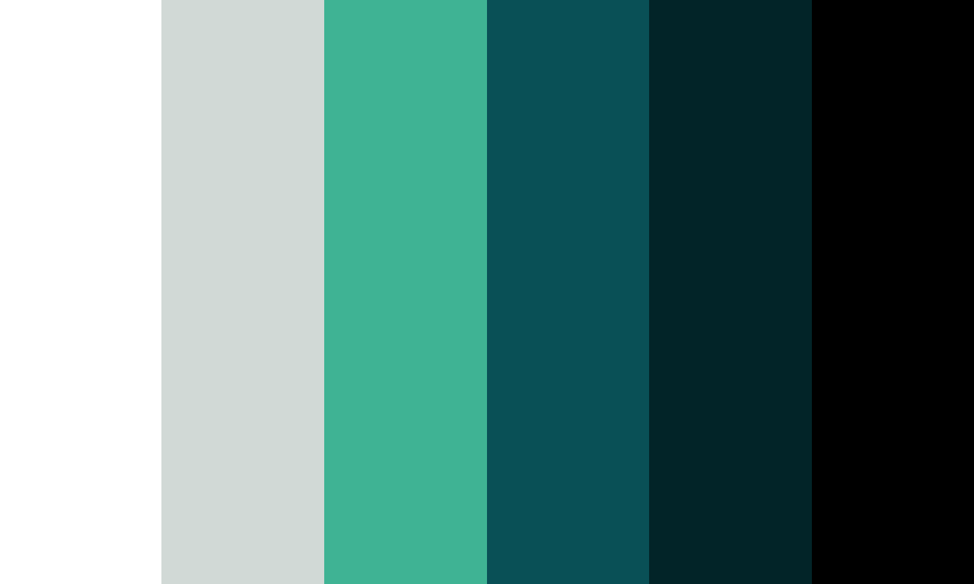 Final Color Palette given by Branding Agency.