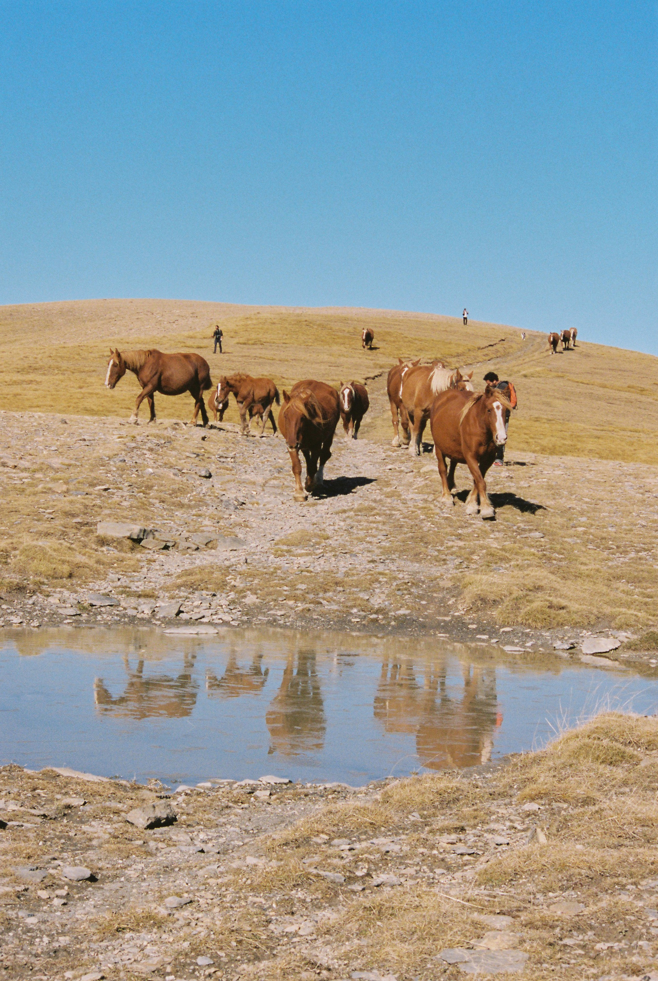 Story for Eldoradoexperience 