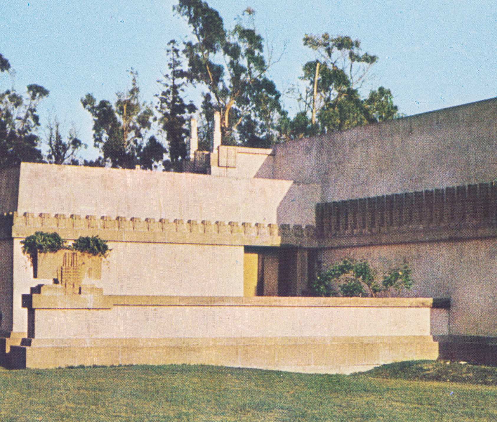 3/3 &mdash; COCKLE SHELLED