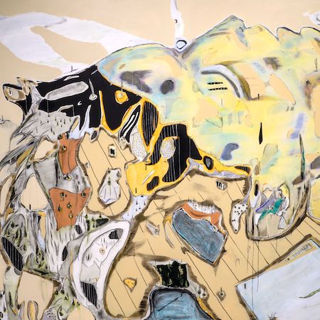 Enfolding the Larger World