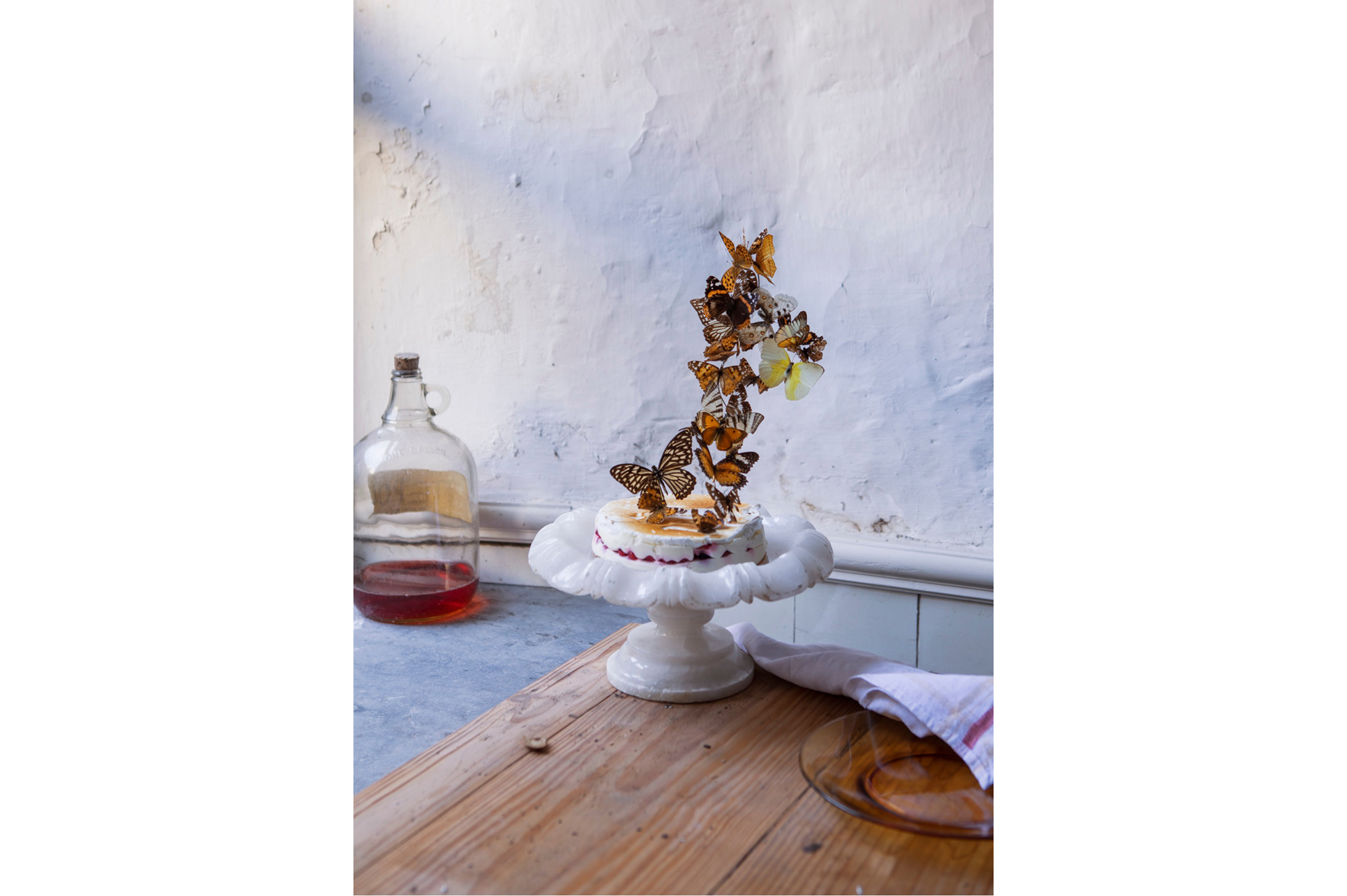 Still life with Papillons, 2018, MAS museum