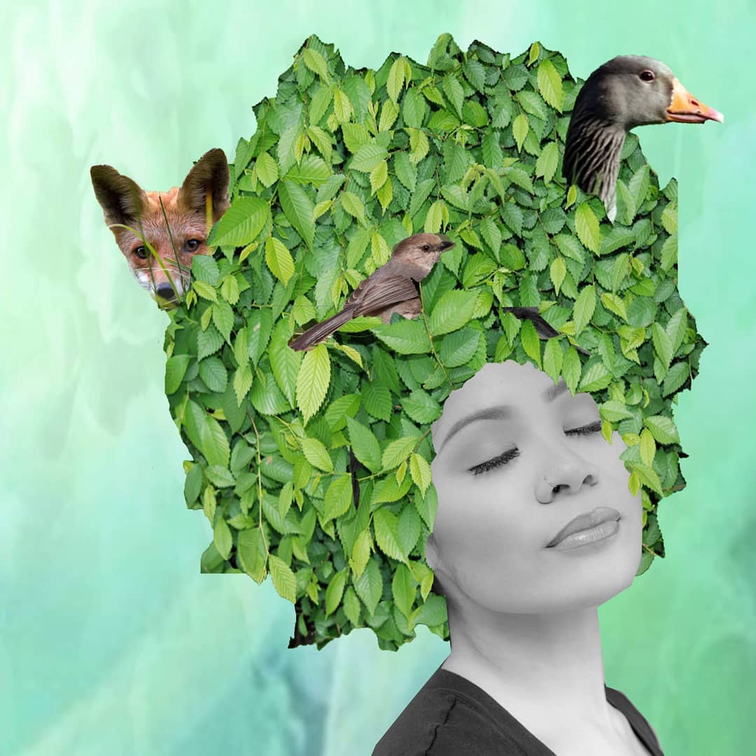 Rachel Hanson