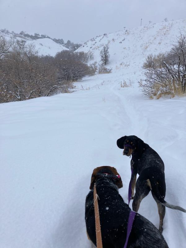 Epic First Hike in Utah (with Uncle David)