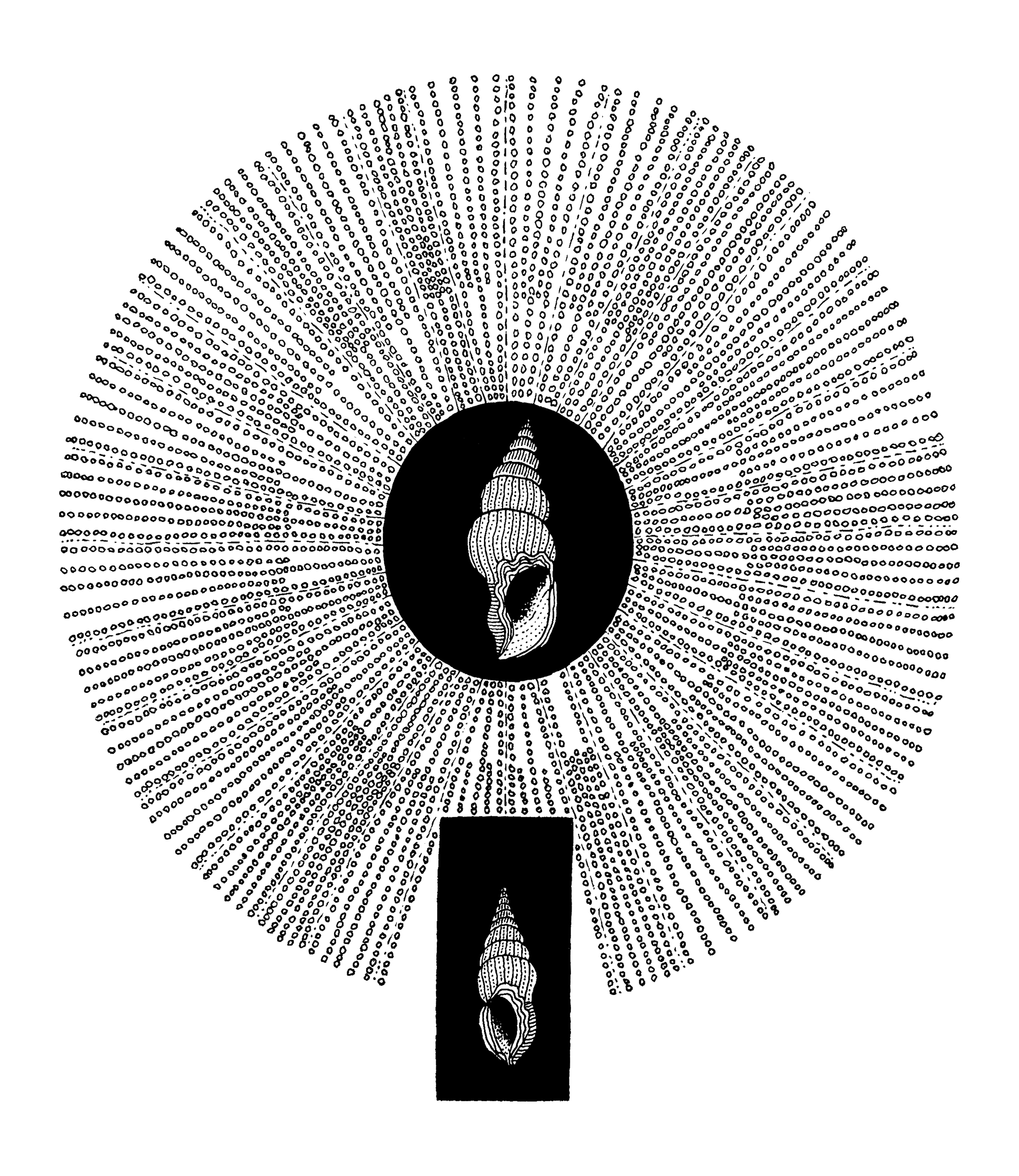 recreation of phenomenon.2-from park,re-hyun