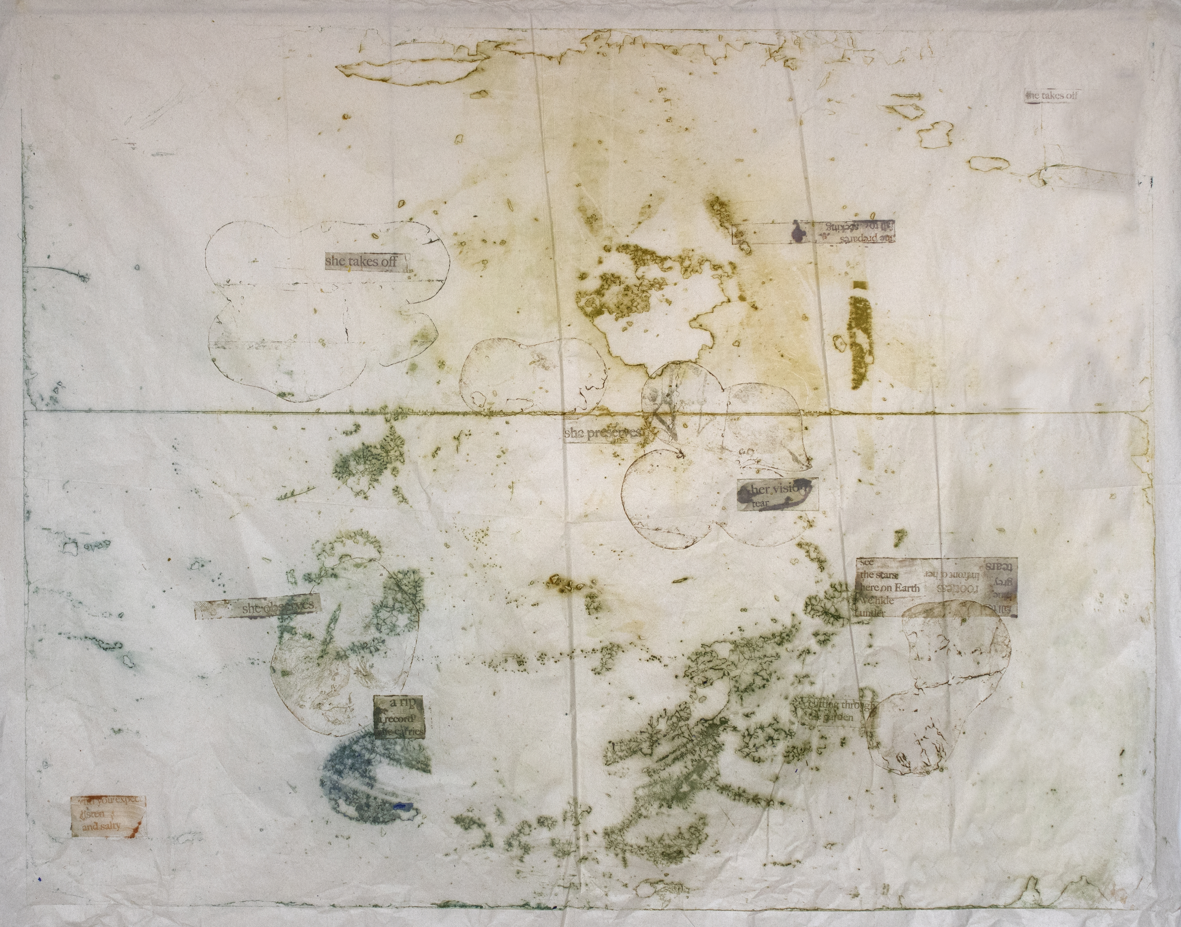 Cutting through the garden, No. 1 et 2 - 2022. Installé avec éléments végétaux de l’herbier de Taylor (mousses, lichens…). Couche 1, 2022. 100 x 140cm. Tirage photopolymère sur papier thaïlandais. Imprimé aux pigments naturels et encre végétal (à base de l’huile de soja). Film photosensible développé à la lumière naturelle. À motif du film photopolymère déchiré, et d’une superposition photographique des échantillons végétaux collectés, cultivés au sein des boites de petri et photographiés (feuilles, mousses, lichens…). Texte du poème Geography of Transparencies écrit par Christopher Alexander Kostritsky Gellert intégrés au sein de la composition. Couches 1 et 2, 2022. 100 x 140cm. Couche 2 : tirage photopolymère sur papier japonais transparent, suspendu devant Couche 1 (Cf. même descriptif Couche 1).