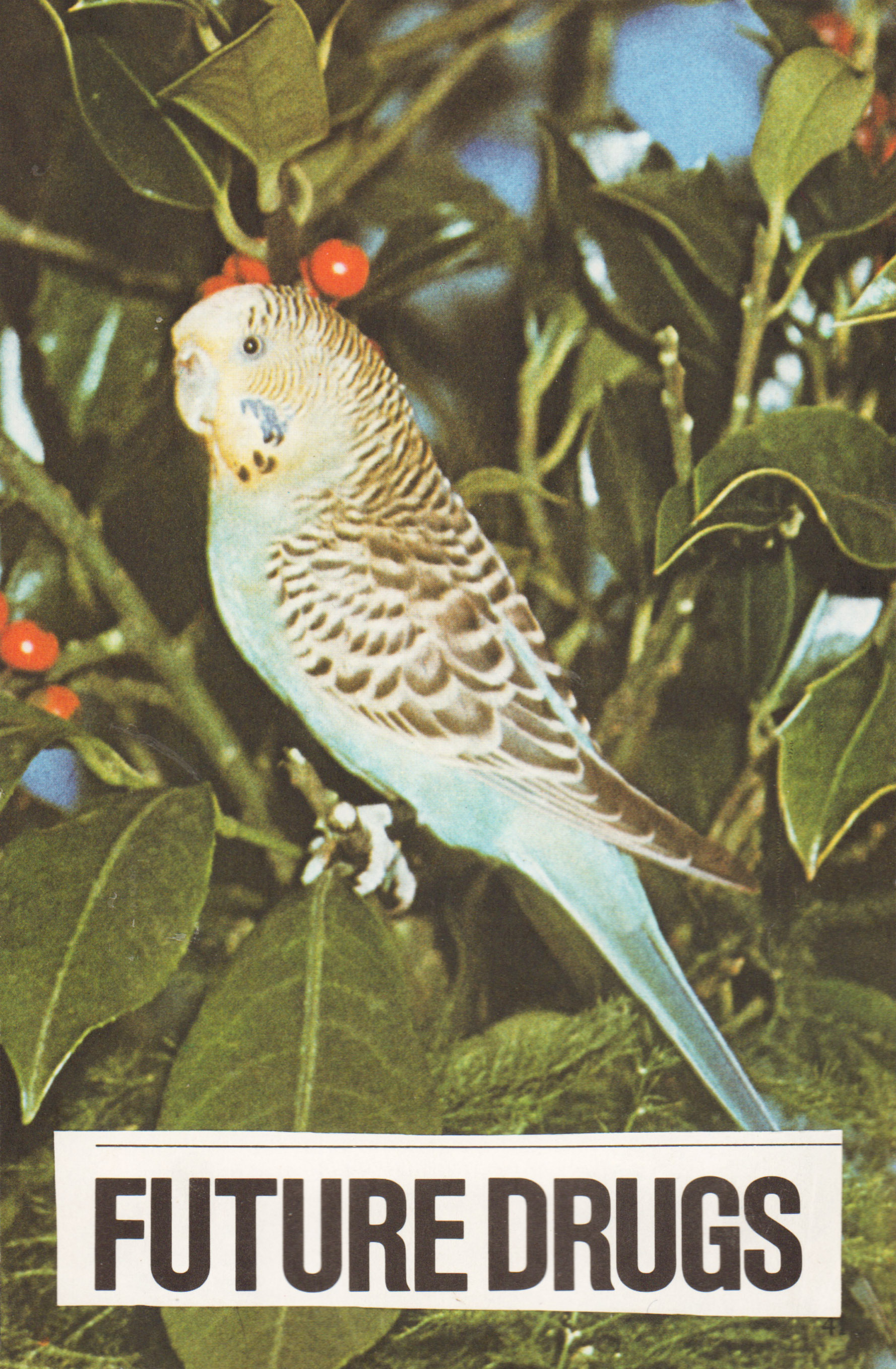 Future Drugs, 2020, photomontage, 19 x 31 cm