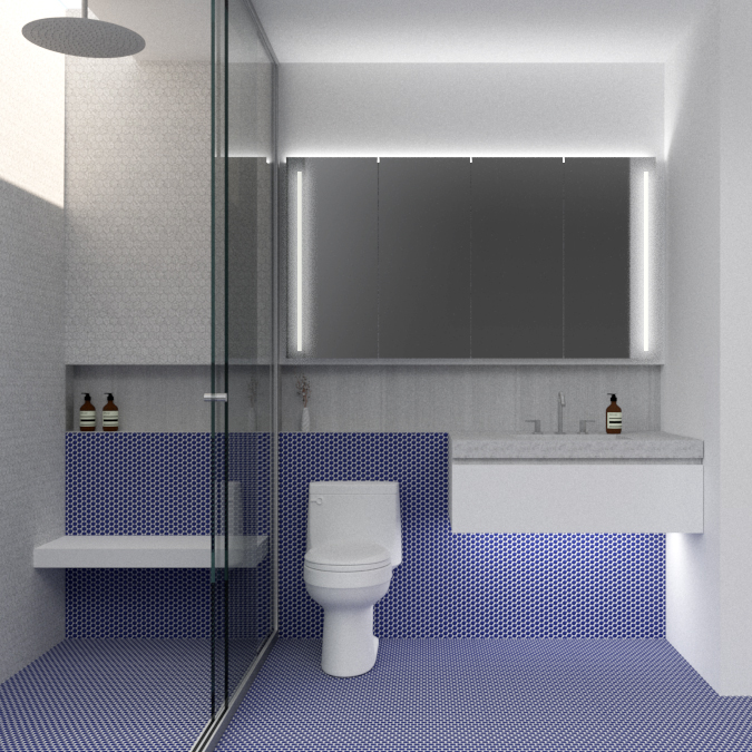 Project Rendering