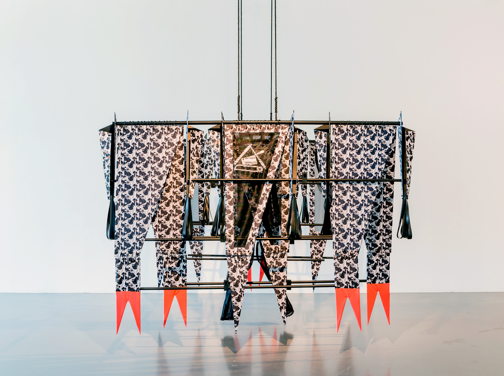 The Jungle with Noam Toran 