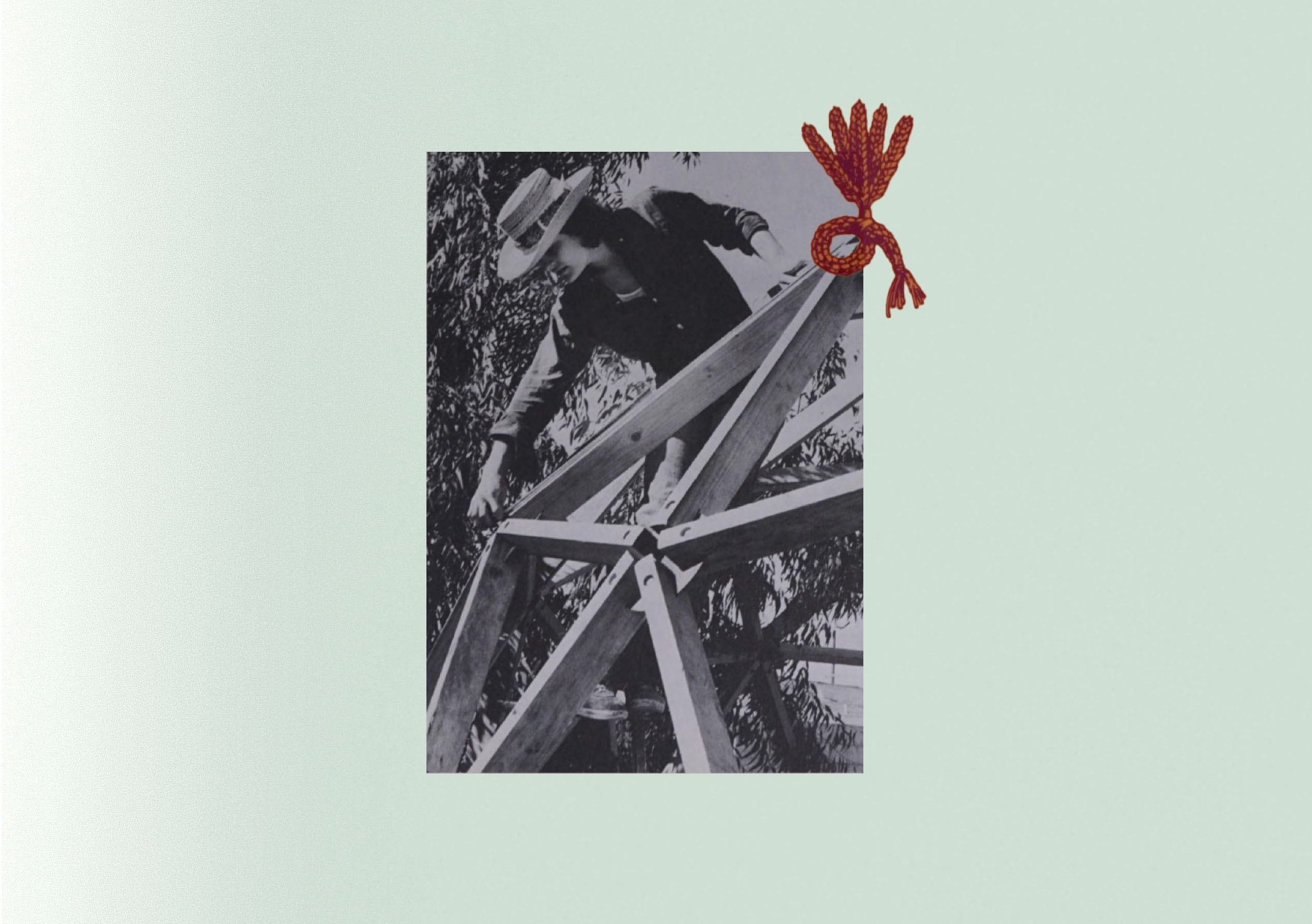 The Instrument : Composition & its Tellings | Maya M. Carroll