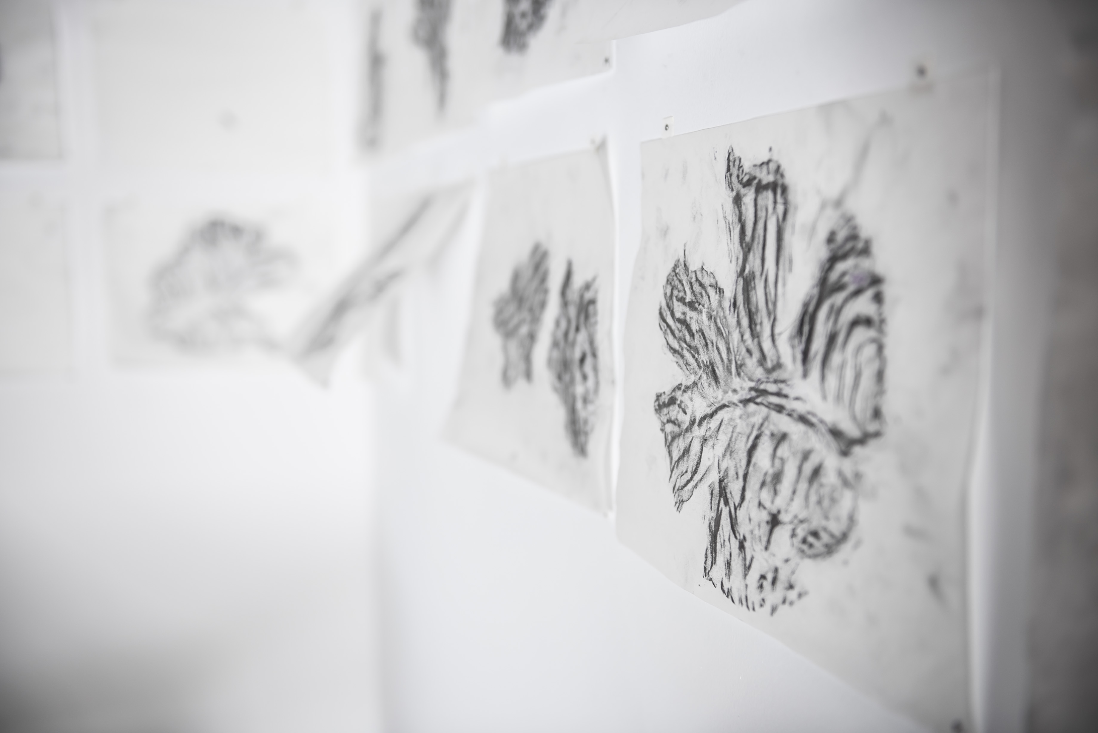 3/4 — CABBAGES An excerpt from Olivia Canny’s review “Food, Mundanity, Devotion: Flavor Profile at Border Patrol” Just beyond the threshold of Border Patrol’s middle room is B. Quinn’s nine-page text-based work, 116 Actions in 24 Hours with a Purple Cabbage in Johnson, Vermont (2018). From the first few items, there is a comical and unsettlingly familiar quality to Quinn’s anthropomorphization of the cabbage: “5. I set you on top of the paper towel dispenser to take your photo, but now somehow my phone memory is full.” The dynamics of the narrator’s relationship with the cabbage offer introspection into how value and turbulence function within interpersonal relationships. Quinn shifts reference of the cabbage from “you” to “the cabbage” frequently, places it in the street to watch it get run over several times, buys a new cabbage as a replacement, totes that cabbage all around town, throws it at a garden gnome, and later patches it up with a bandaid. “91. Get up and walk, set cabbage down on top of fire hydrant that is close to three feet tall. You almost fall, but I catch you.” The organization and attention to detail mirrors a grocery list or a recipe for deconstructing one’s relationship to an other, be it tangible and edible, or projected and aggrandized. Across the hall from the text display, Quinn presents a precursor to the list, Purple Cabbage (2017), a series of graphite rubbings of a cabbage that mirror the variability in the artist’s sentiments as communicated in her writing. Drawing series, 2017-ongoing.